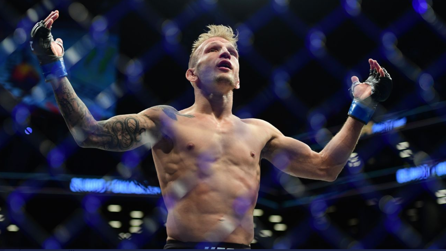 ufc picks TJ Dillashaw predictions best bet odds