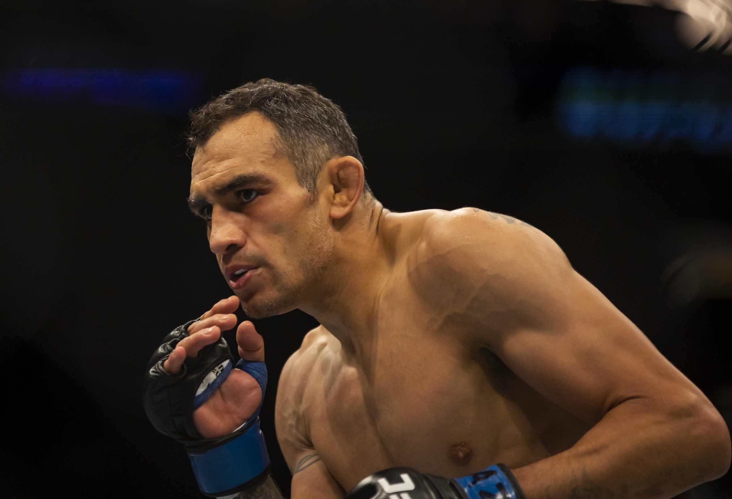 ufc picks Tony Ferguson predictions best bet odds