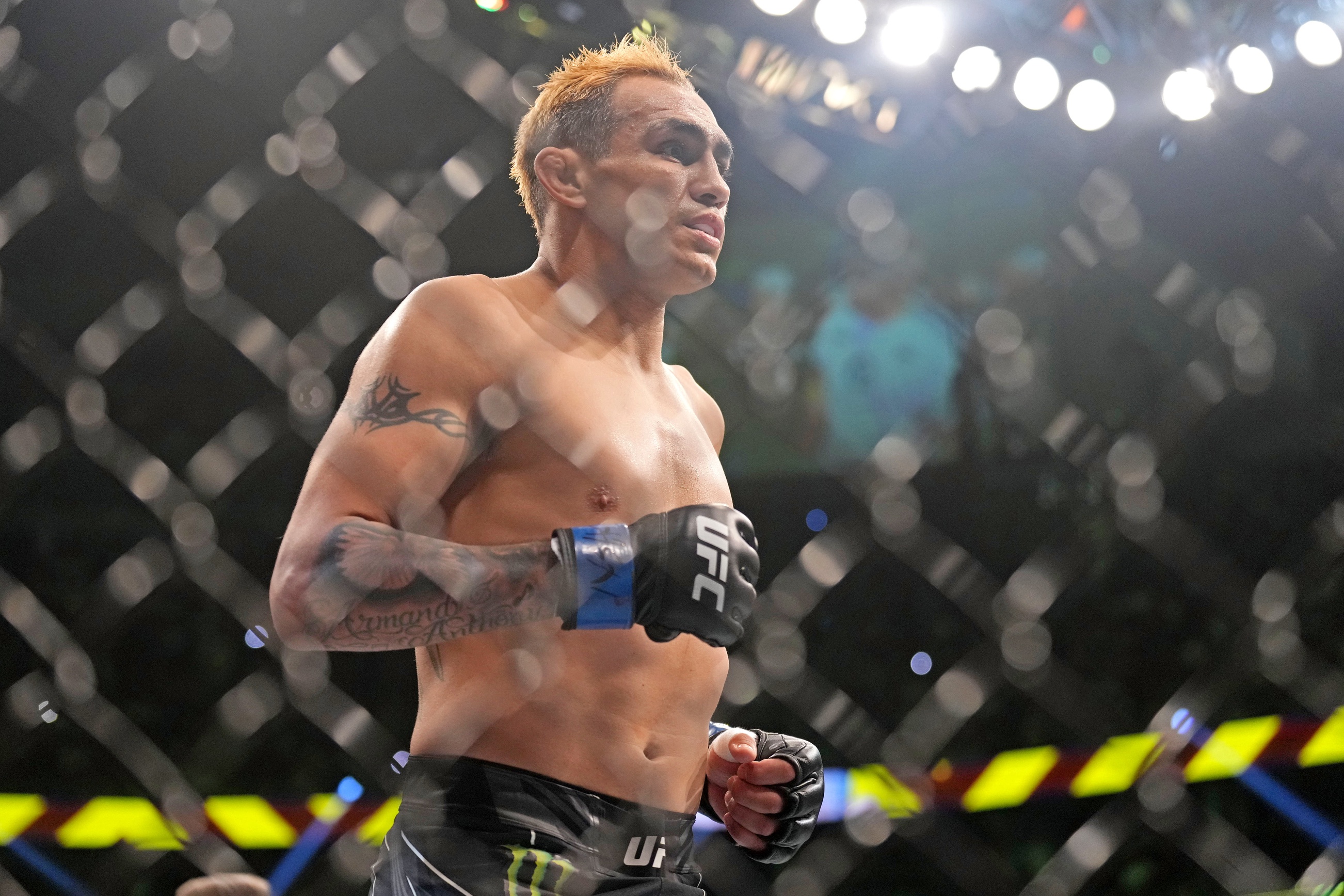 ufc picks Tony Ferguson ufc predictions best bet odds