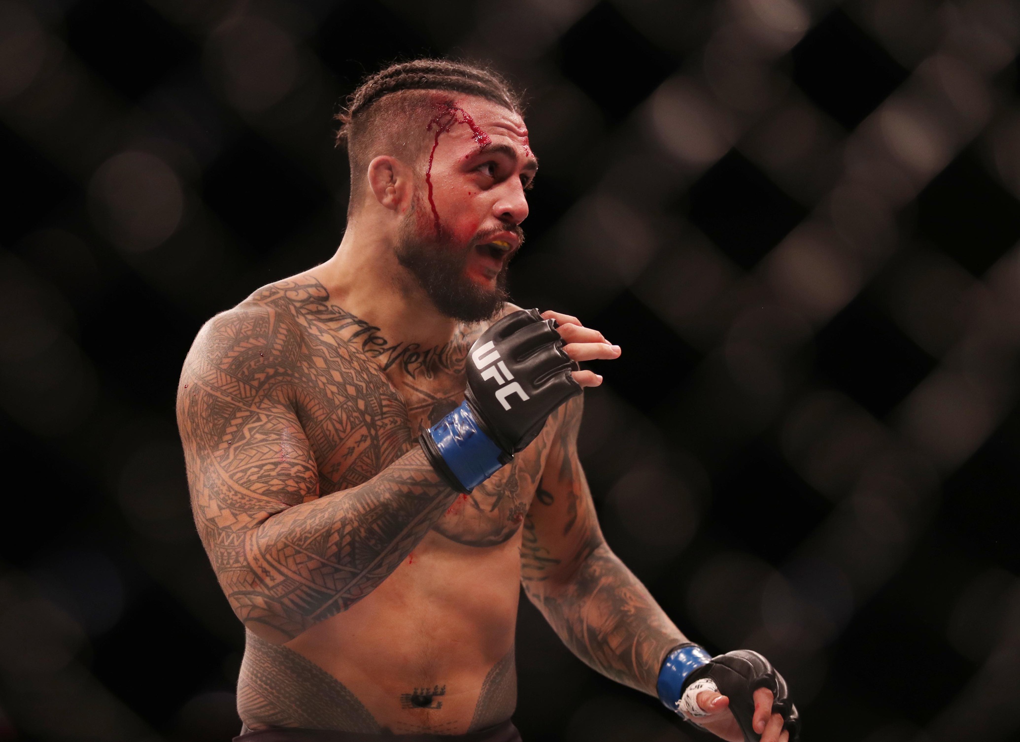 ufc picks Tyson Pedro predictions best bet odds