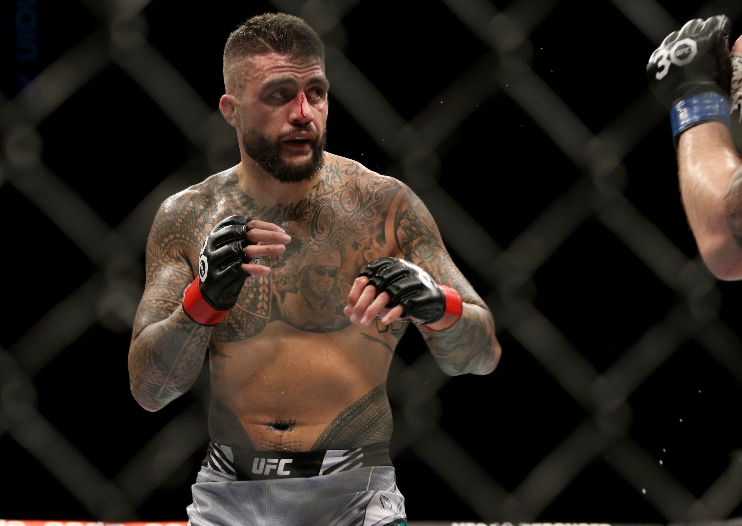ufc picks Tyson Pedro ufc predictions best bet odds