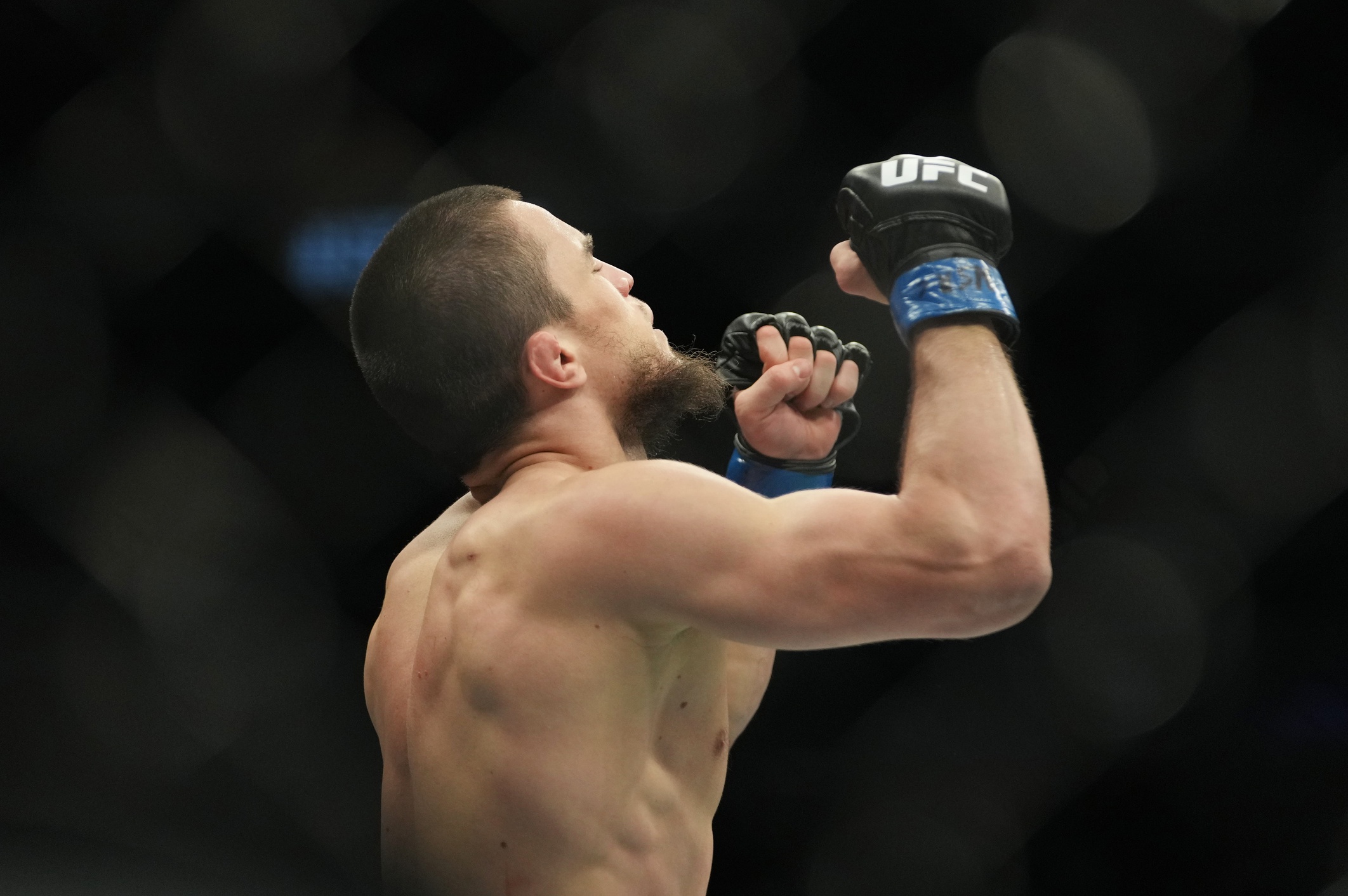 ufc picks Umar Nurmagomedov ufc predictions best bet odds
