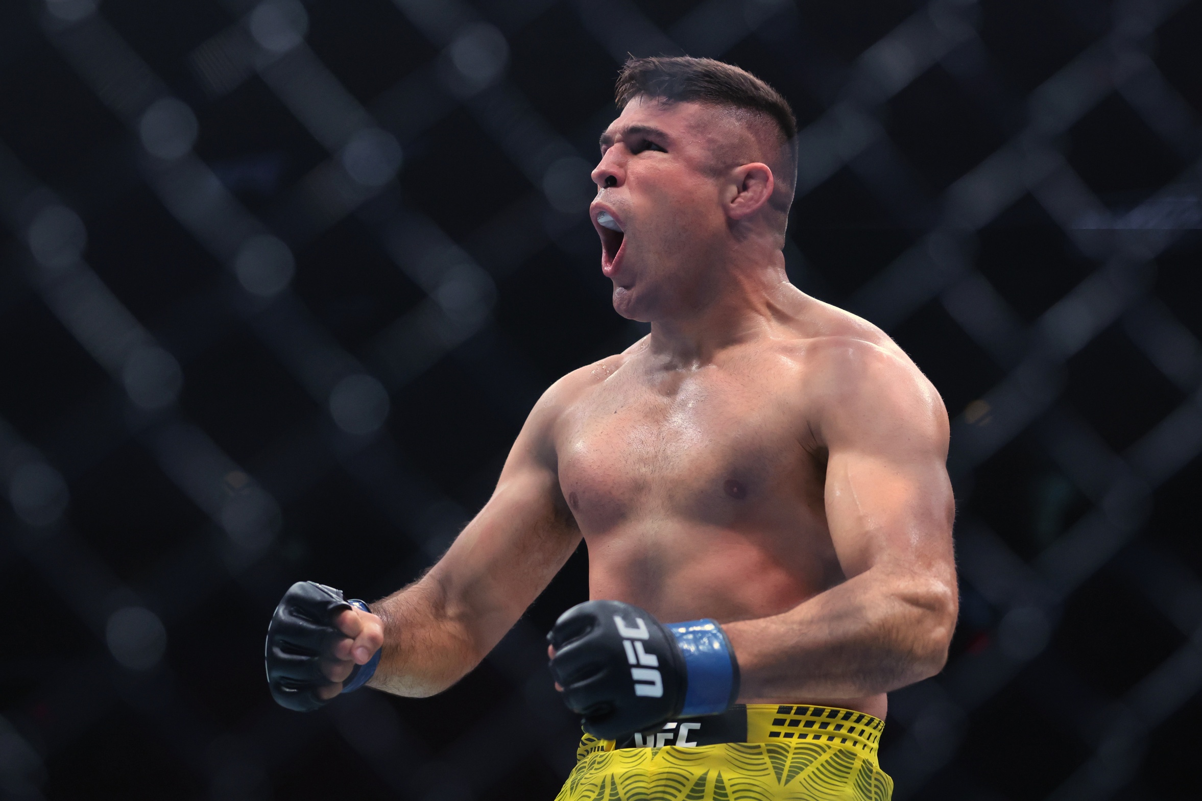 ufc picks Vicente Luque predictions best bet odds
