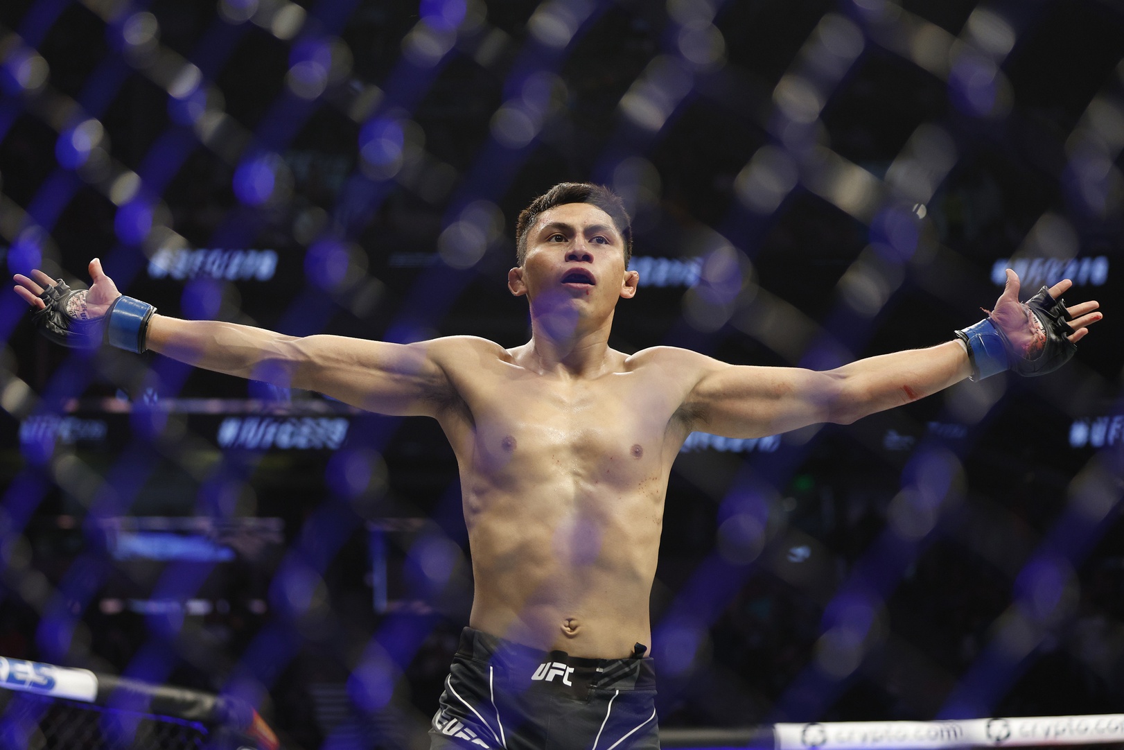 ufc picks Victor Altamirano ufc predictions best bet odds