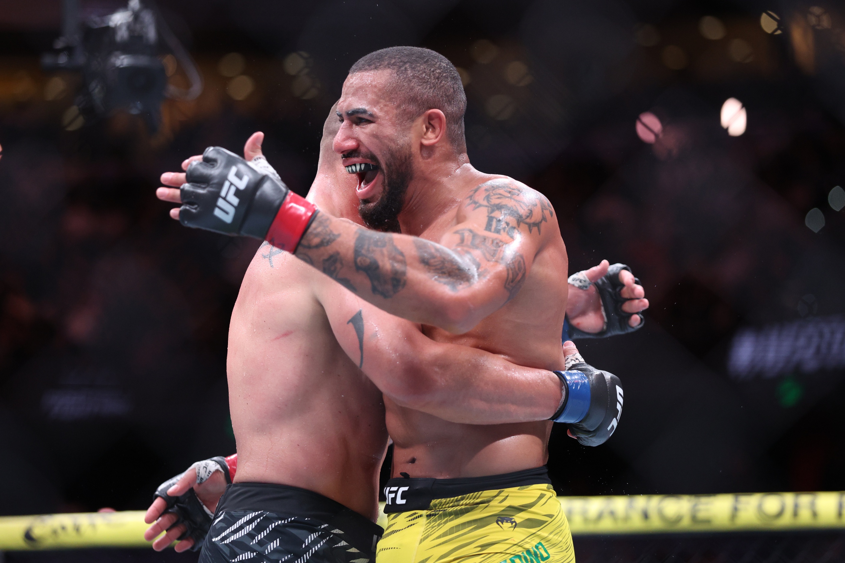 ufc picks Vitor Petrino ufc predictions best bet odds
