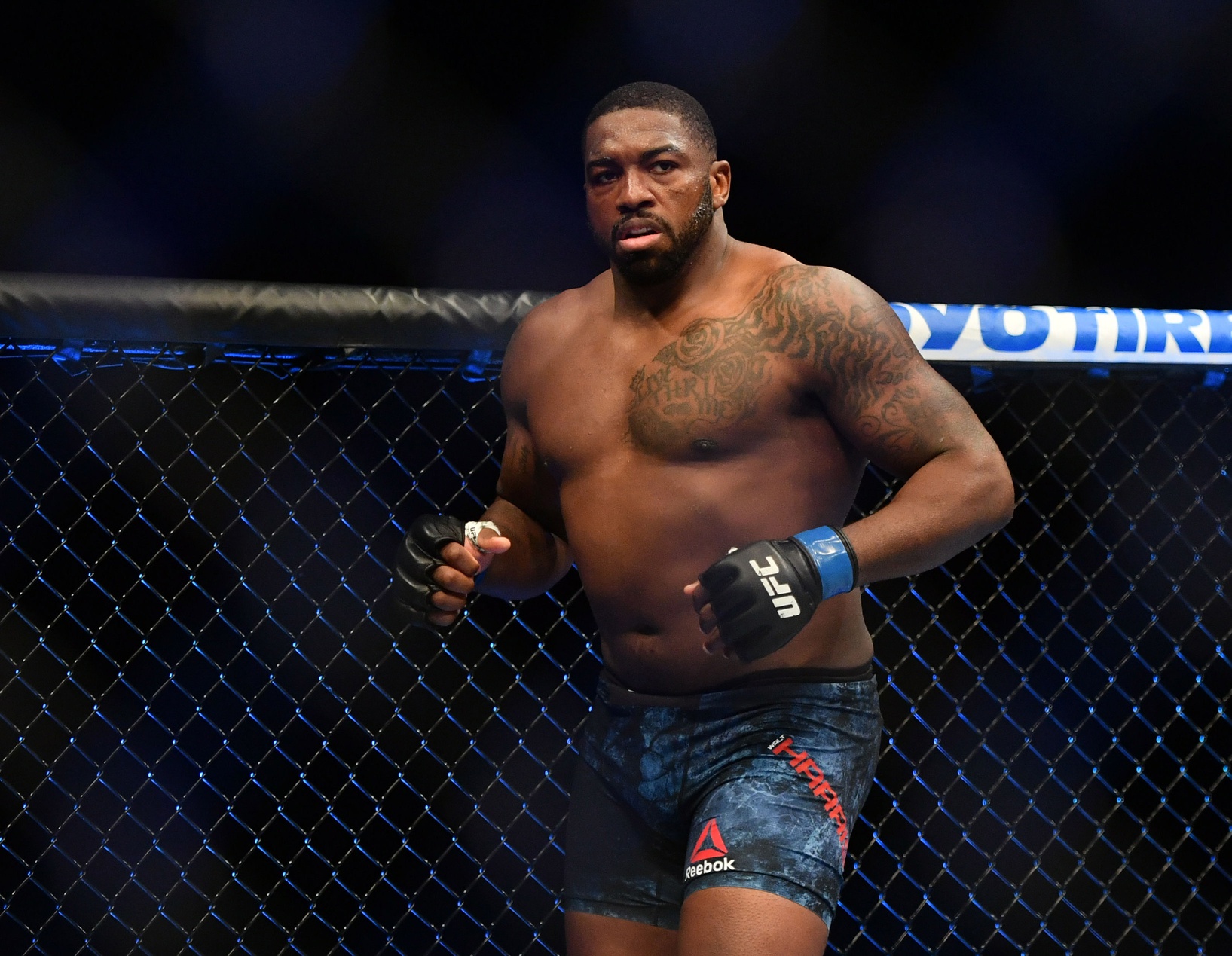 ufc picks Walt Harris ufc predictions best bet odds