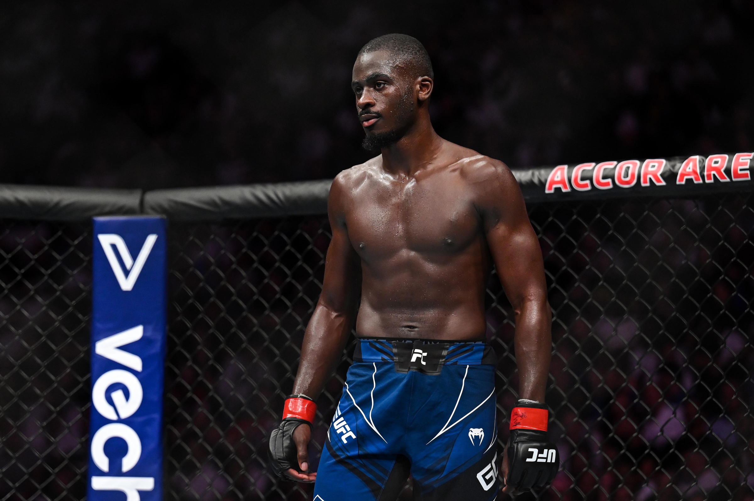 ufc picks William Gomis ufc predictions best bet odds