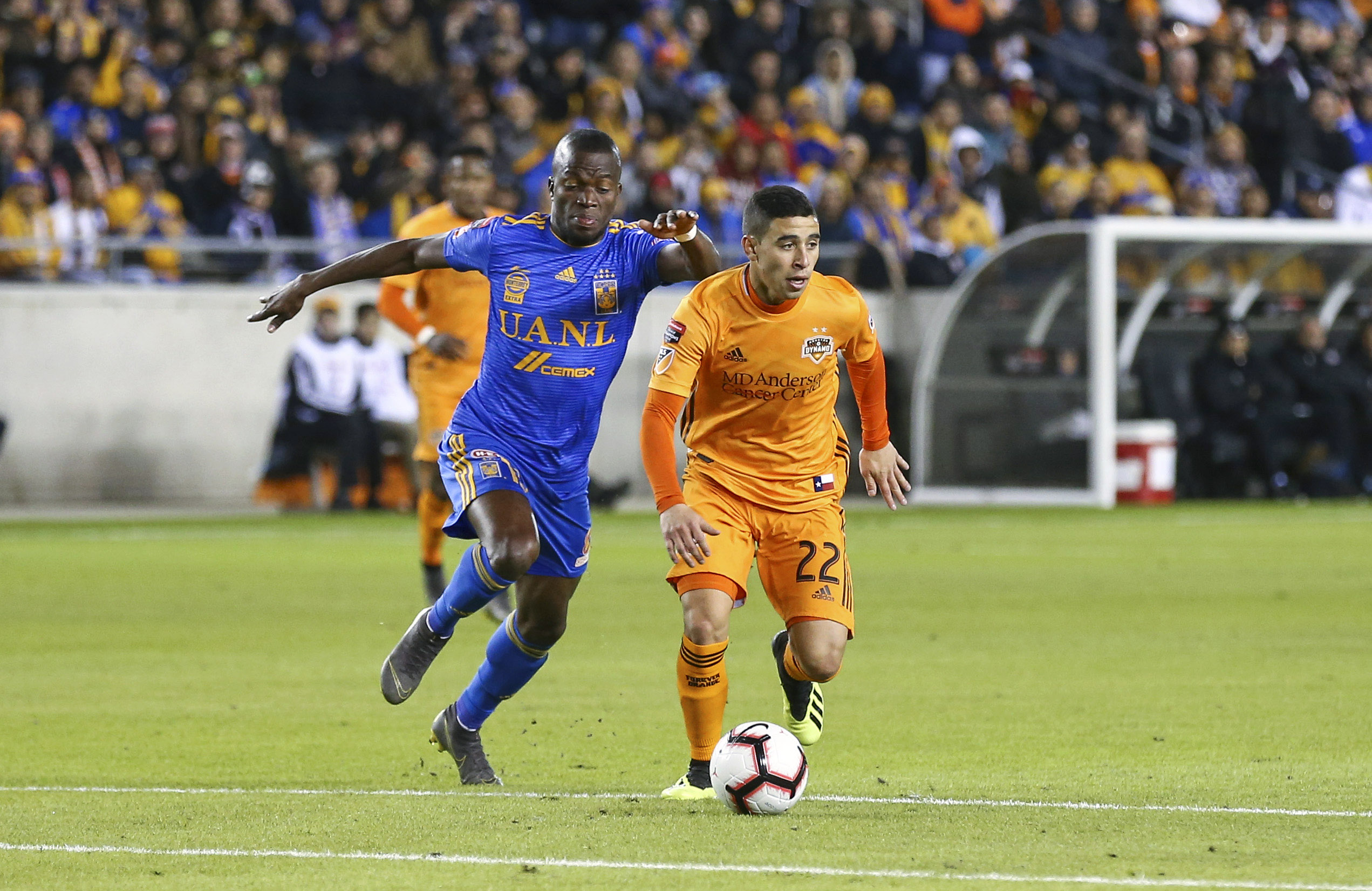 World Cup Group A betting predictions Enner Valencia Ecuador