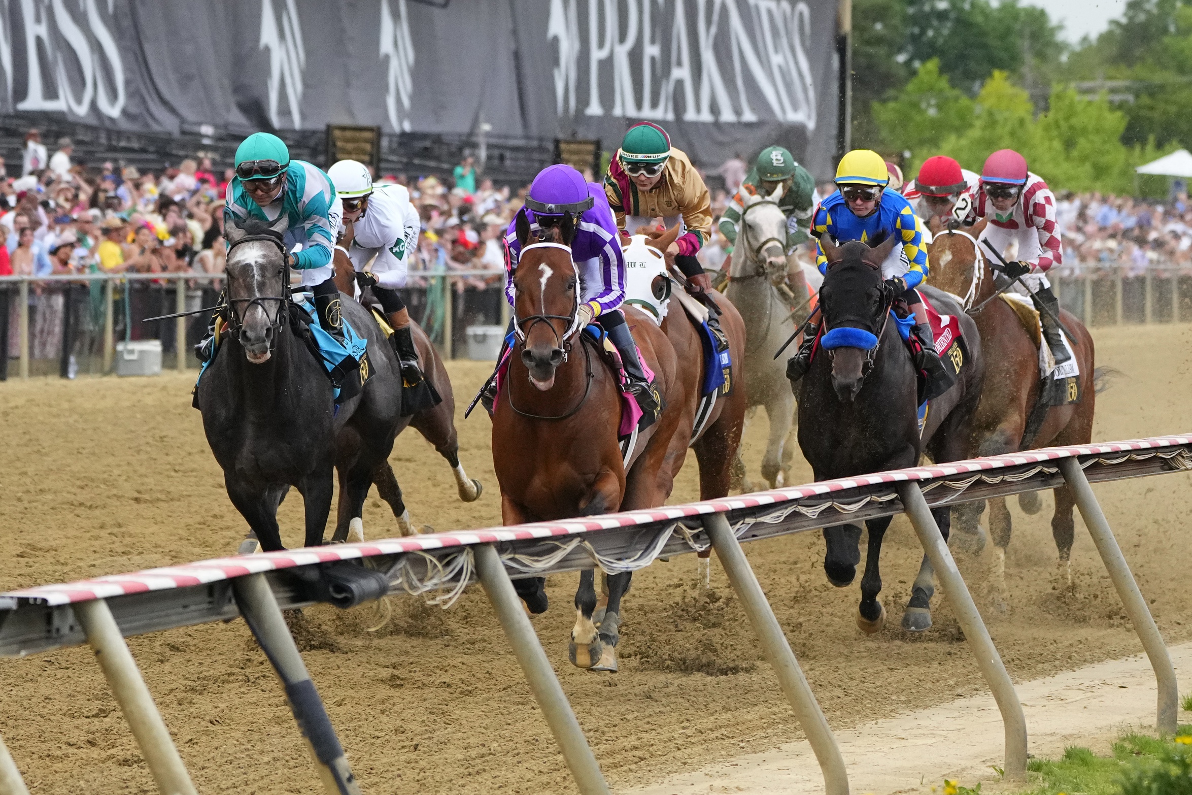 Belmont Stakes betting trends