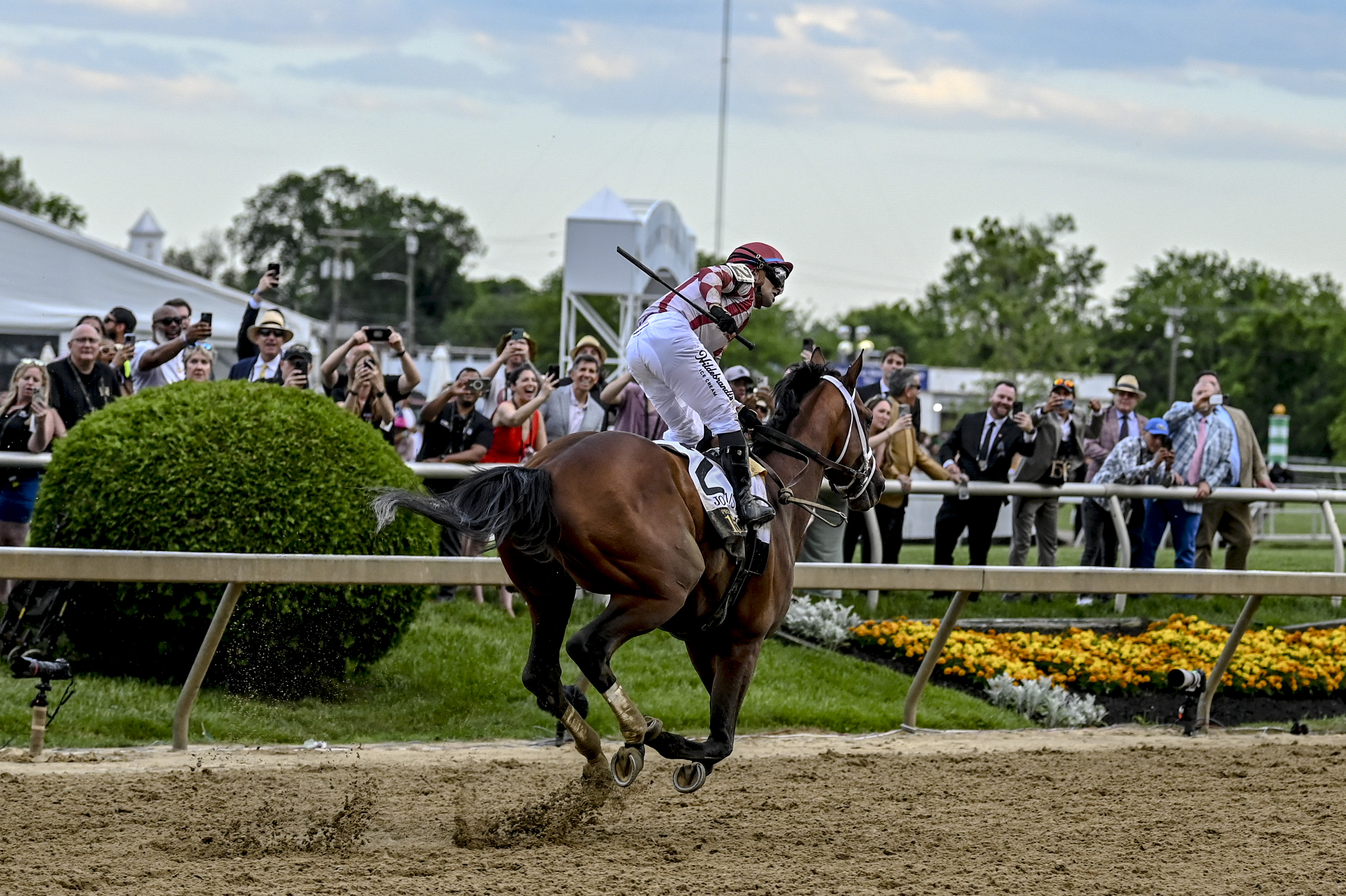 Best Belmont Stakes exacta bets