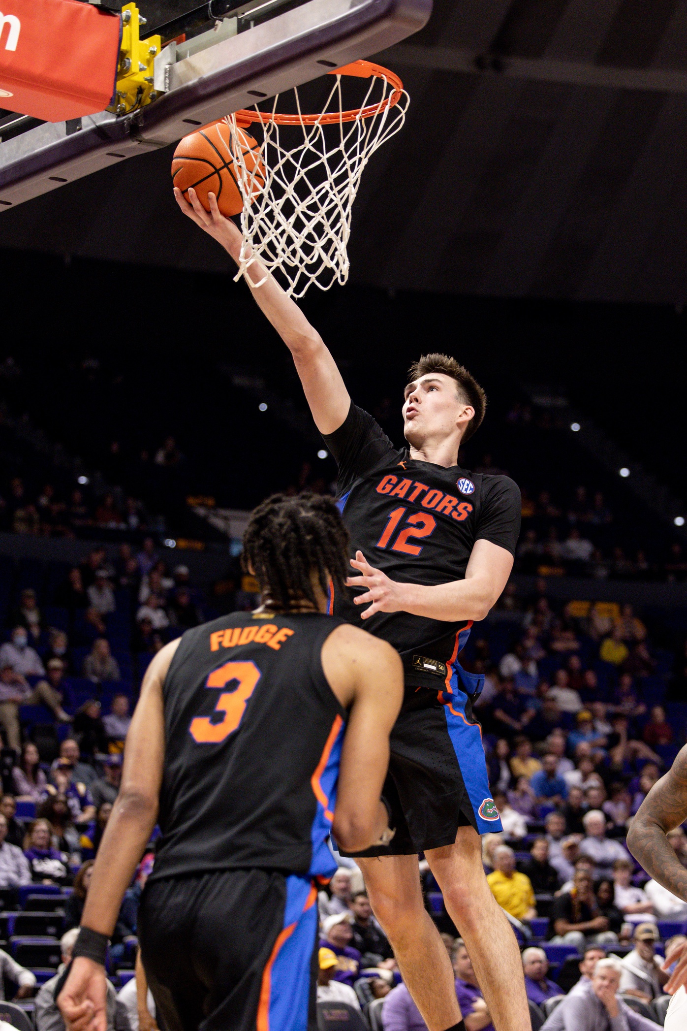 college basketball picks Colin Castleton Florida Gators predictions best bet odds