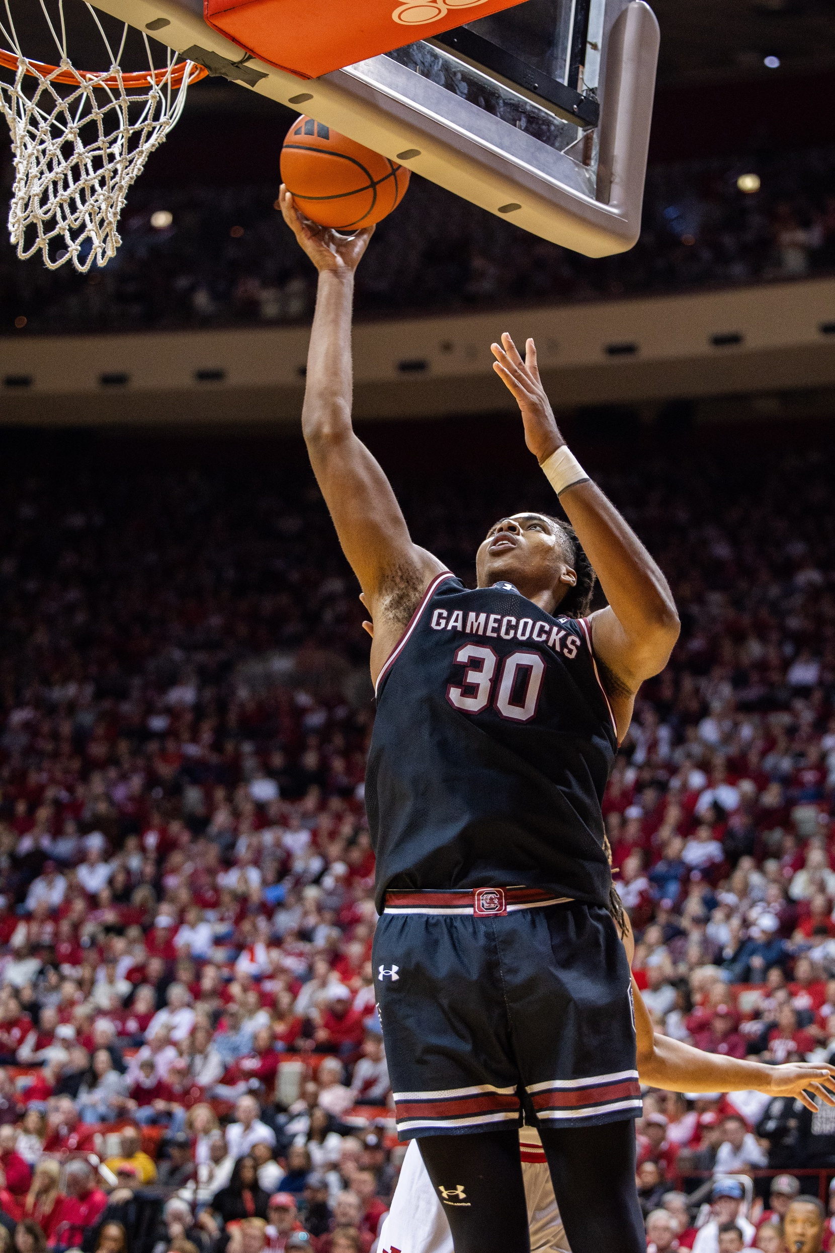 college basketball picks Collin Murray-Boyles South Carolina Gamecocks predictions best bet odds