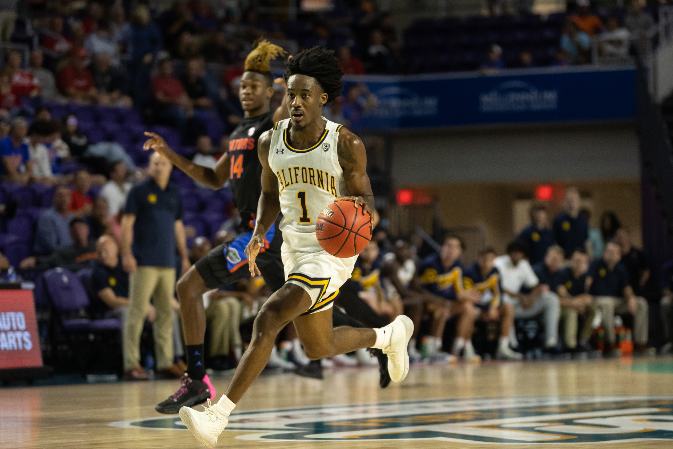 college basketball picks Joel Brown California Golden Bears predictions best bet odds