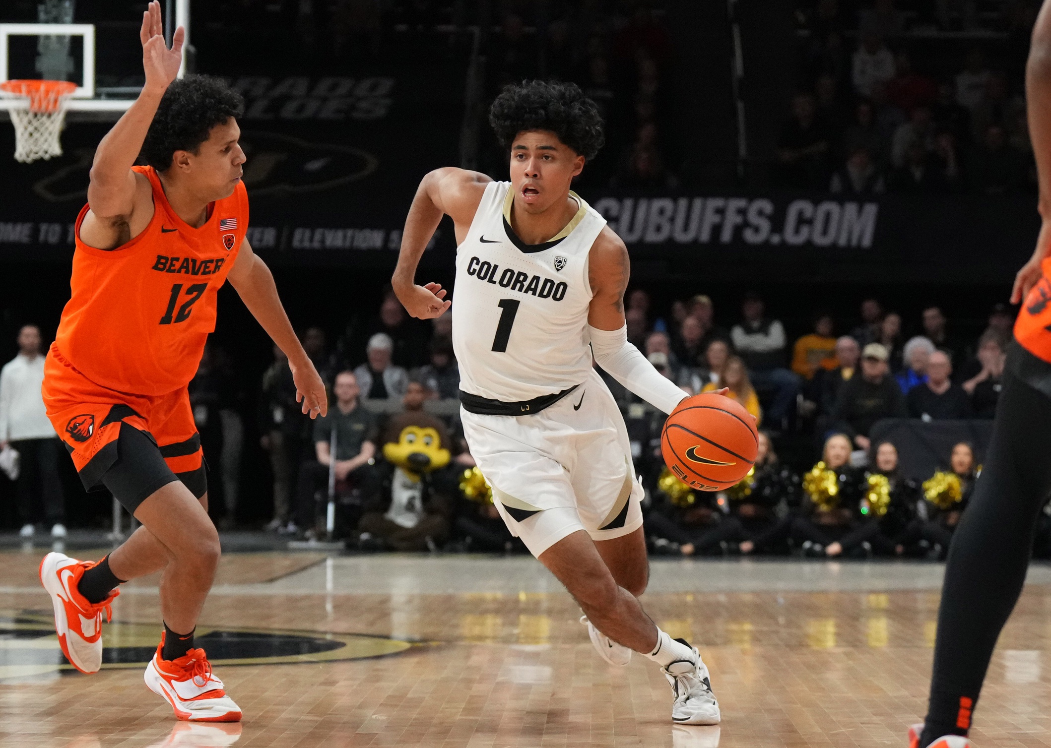 college basketball picks Julian Hammond Colorado Buffaloes predictions best bet odds
