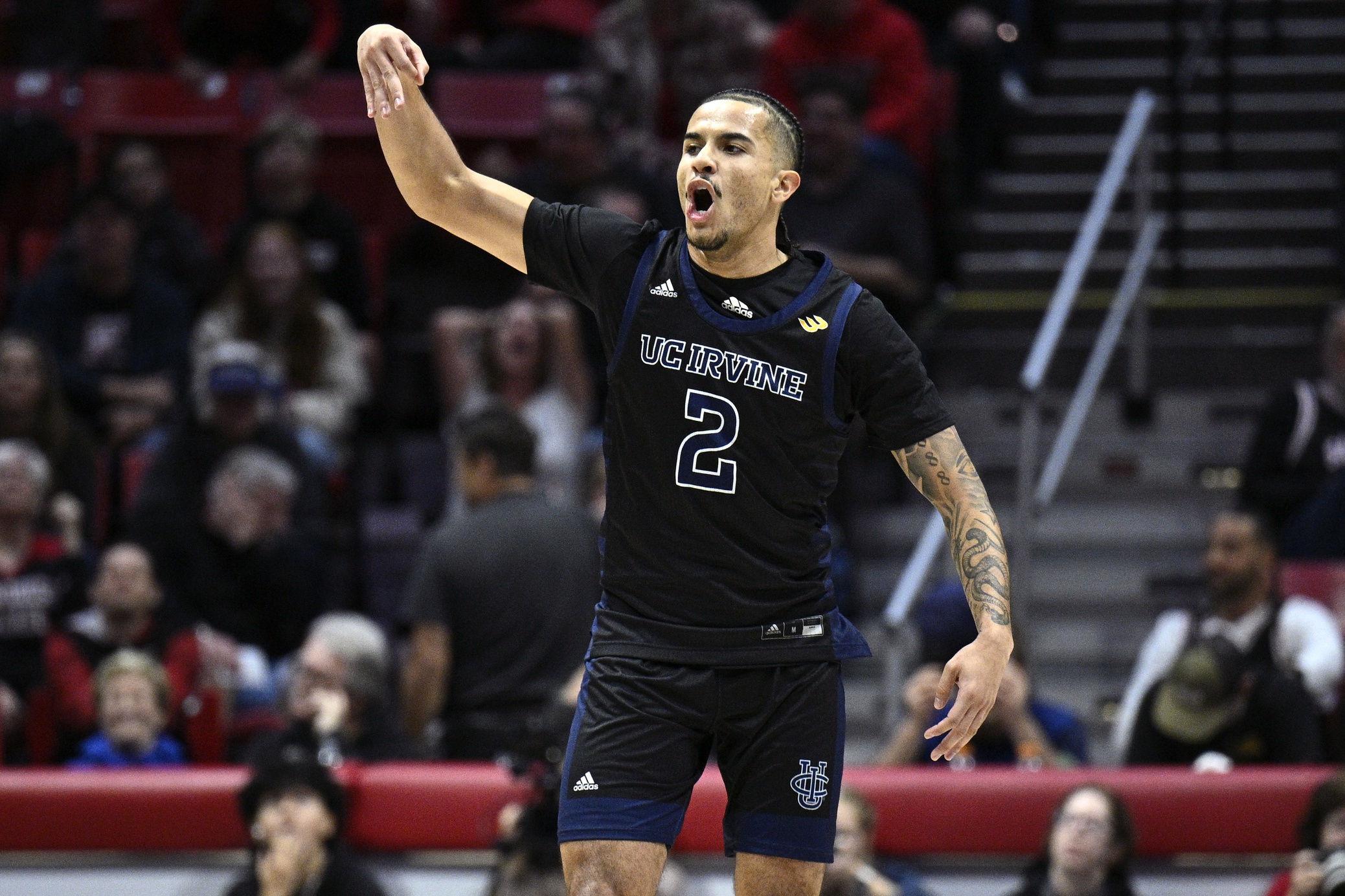 college basketball picks Justin Hohn UC Irvine Anteaters predictions best bet odds