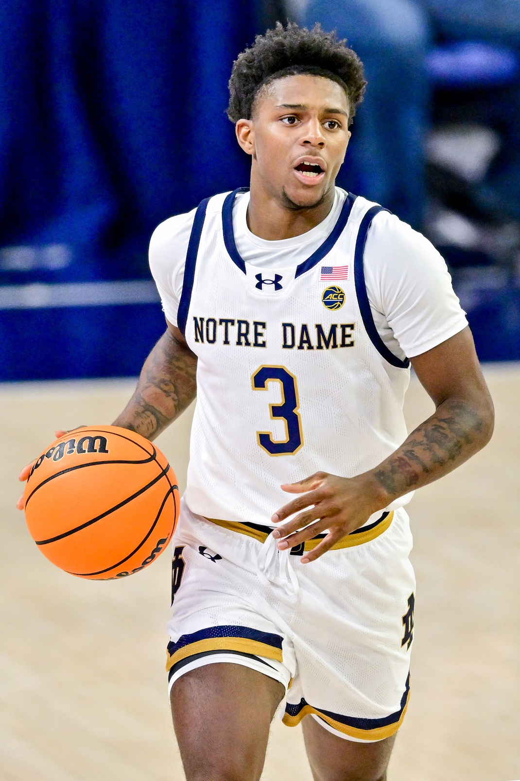 college basketball picks Markus Burton Notre Dame Fighting Irish predictions best bet odds