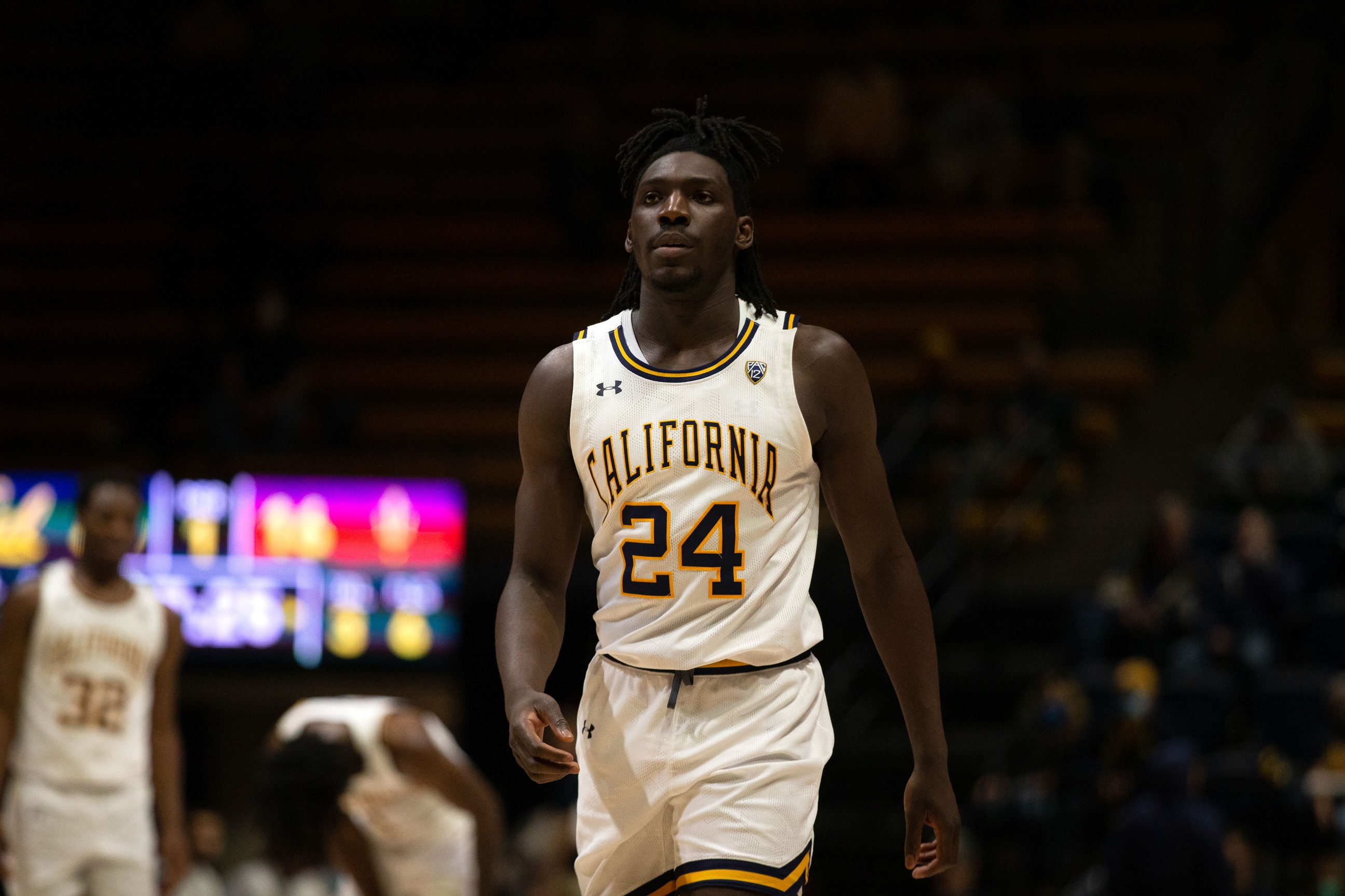 college basketball picks Sam Alajiki California Golden Bears predictions best bet odds
