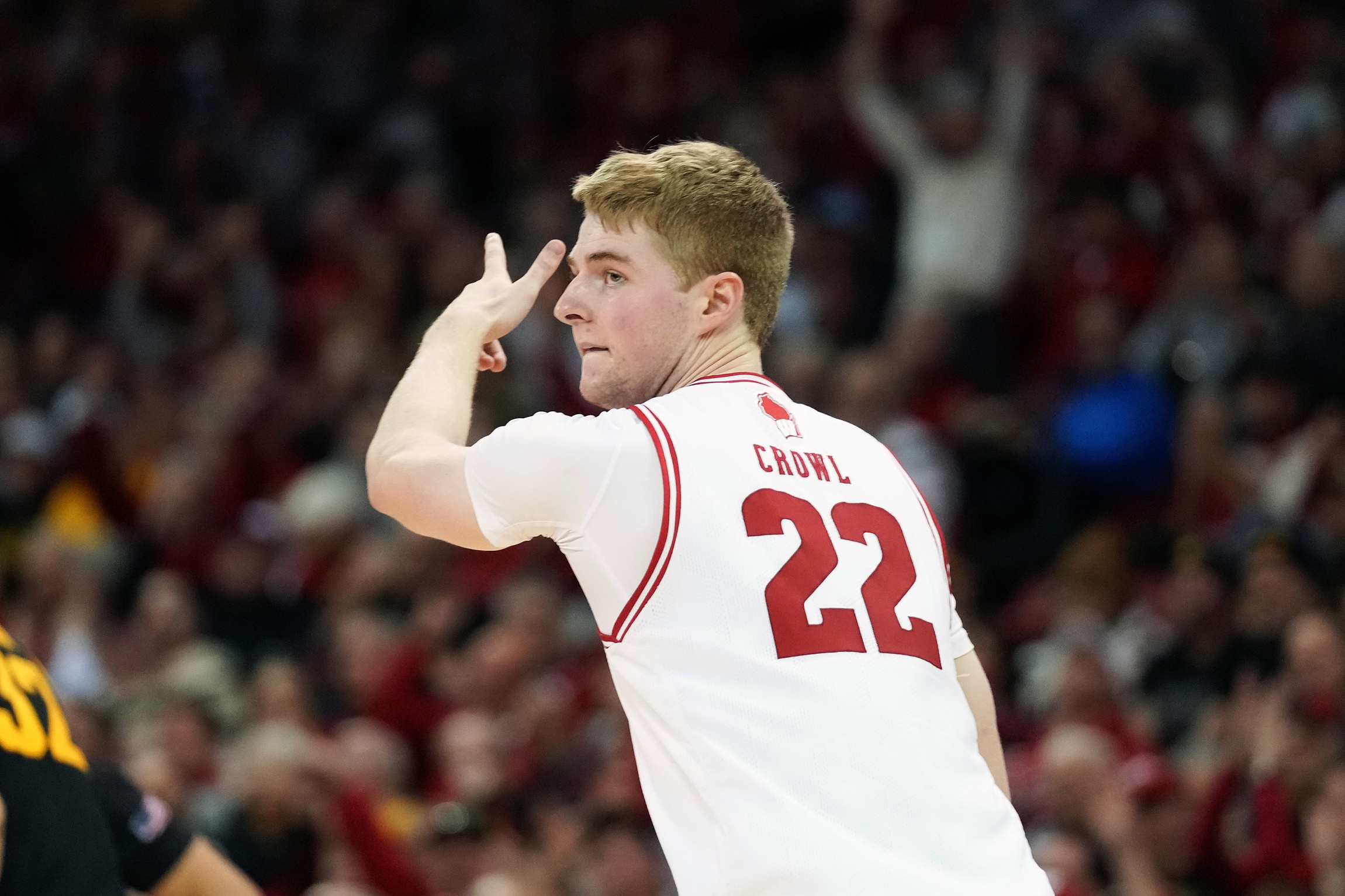 college basketball picks Steven Crowl Wisconsin Badgers predictions best bet odds