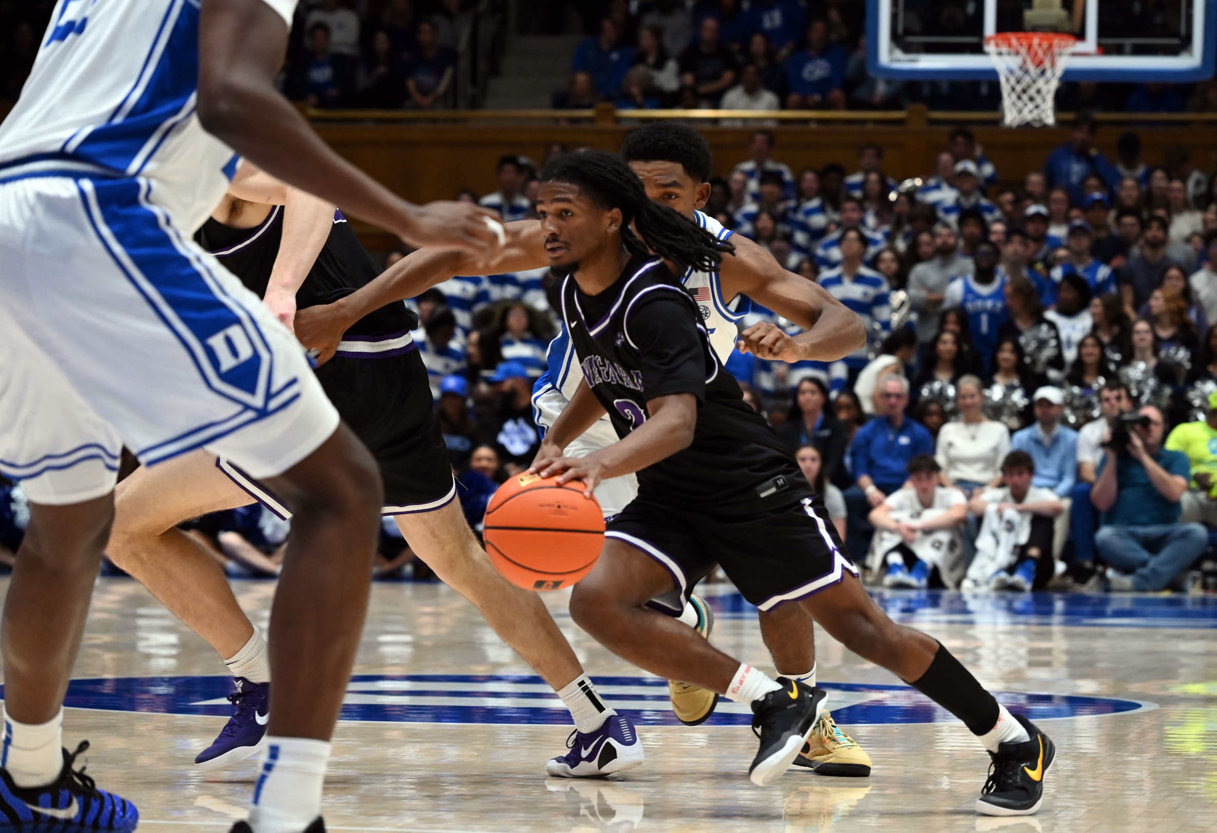 college basketball picks Trenton Walters Niagara Purple Eagles predictions best bet odds
