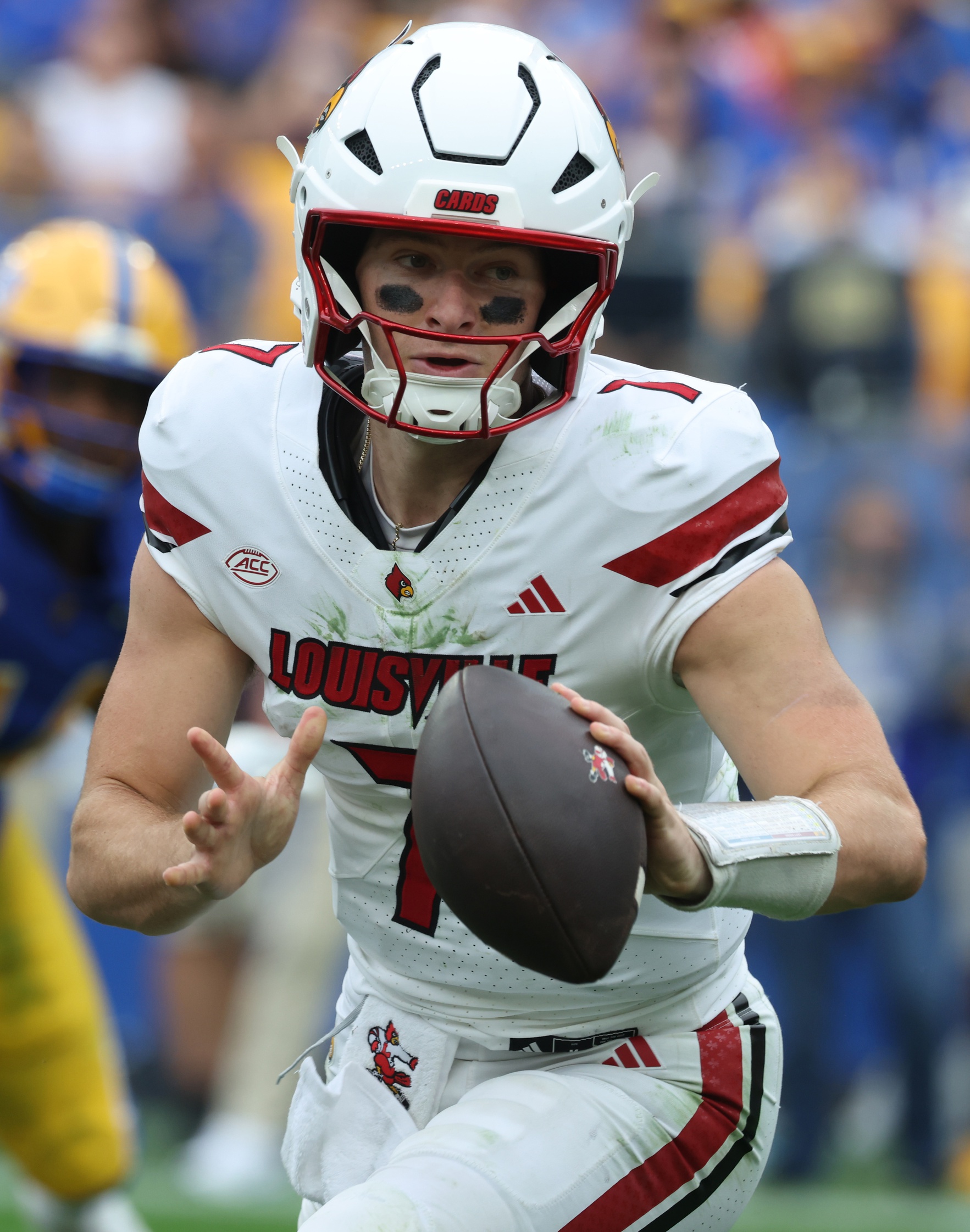college football picks Miller Moss Louisville Cardinals predictions best bet odds