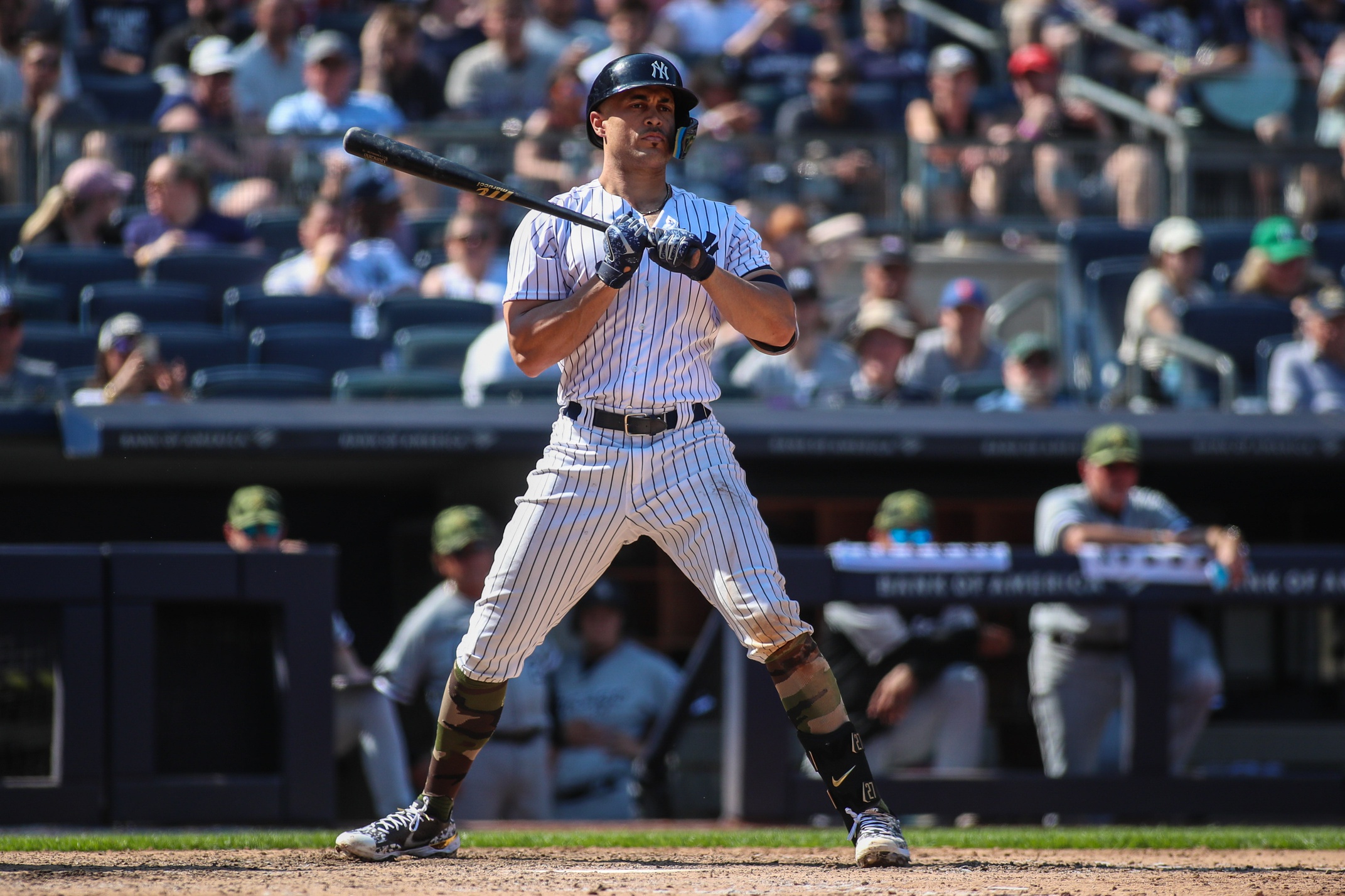 mlb picks Giancarlo Stanton New York Yankees predictions best bet odds