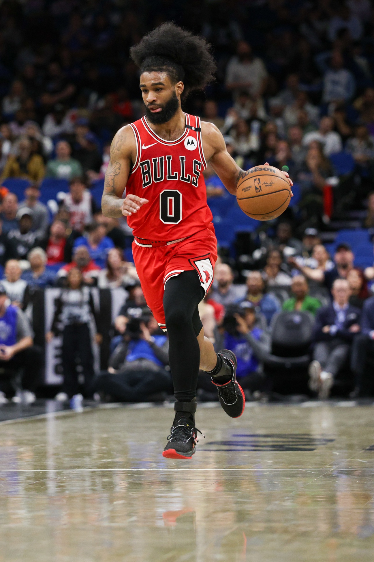 nba picks Coby White Chicago Bulls predictions best bet odds