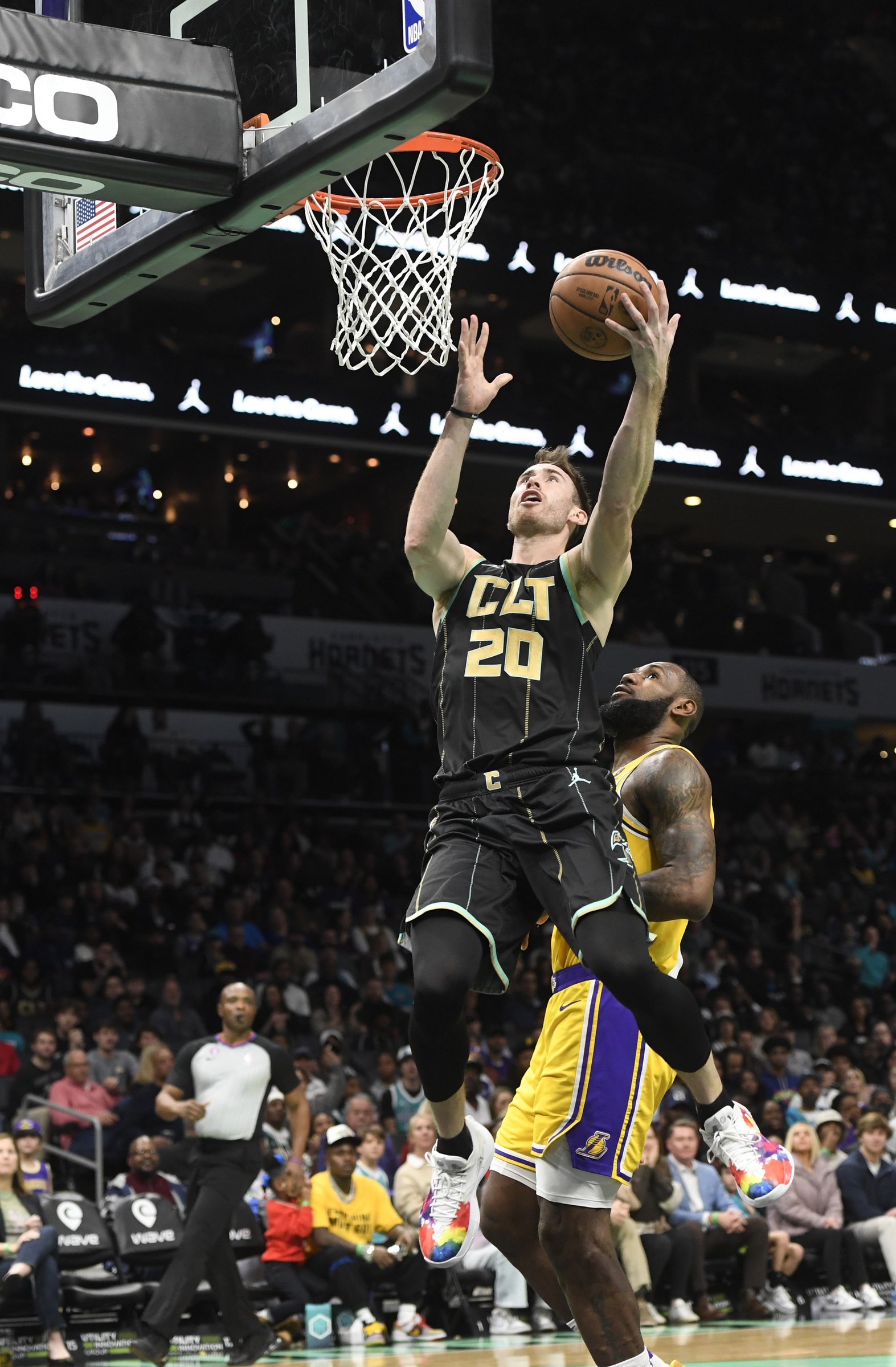 nba picks Gordon Hayward Charlotte Hornets predictions best bet odds