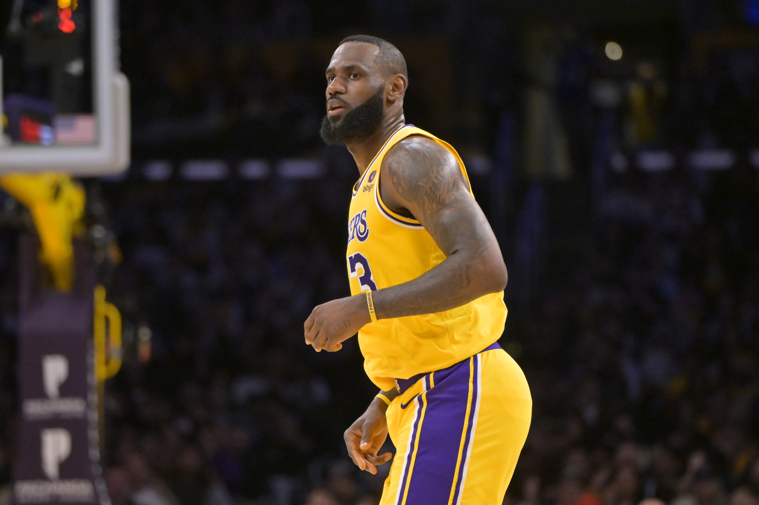 nba picks LeBron James Los Angeles Lakers predictions best bet odds