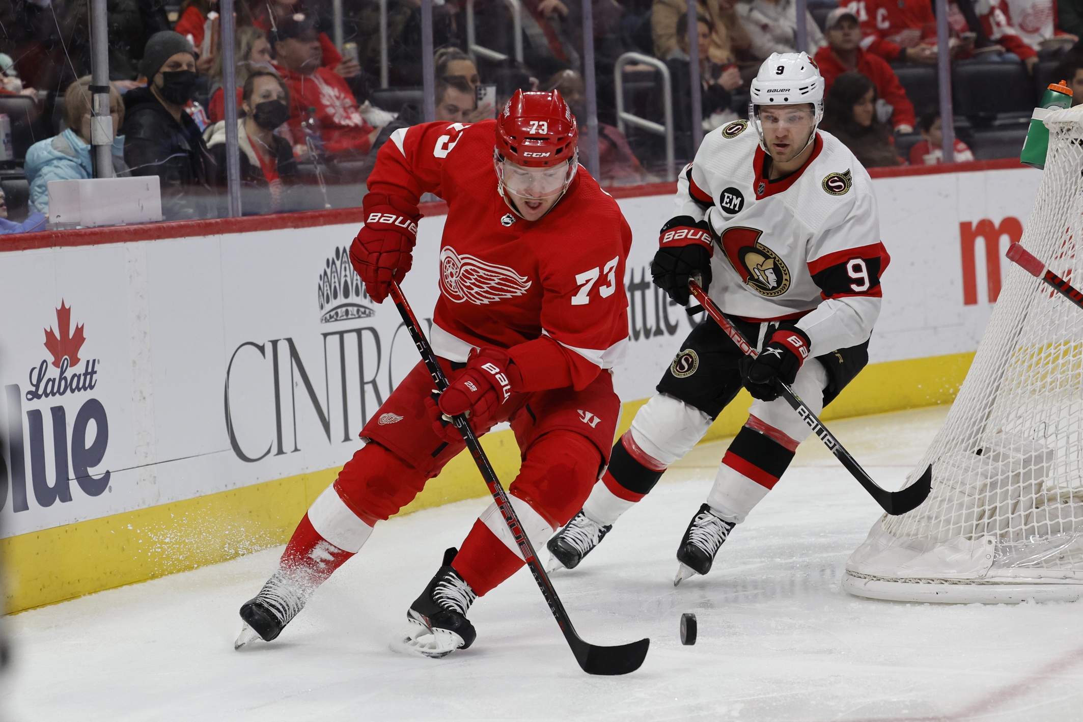 nhl picks Adam Erne Detroit Red Wings predictions best bet odds