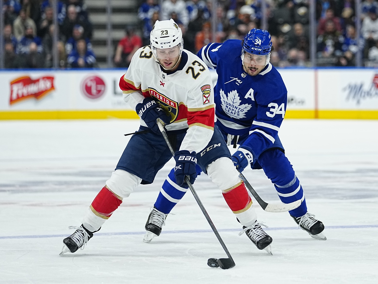 nhl picks Carter Verhaeghe Florida Panthers predictions best bet odds