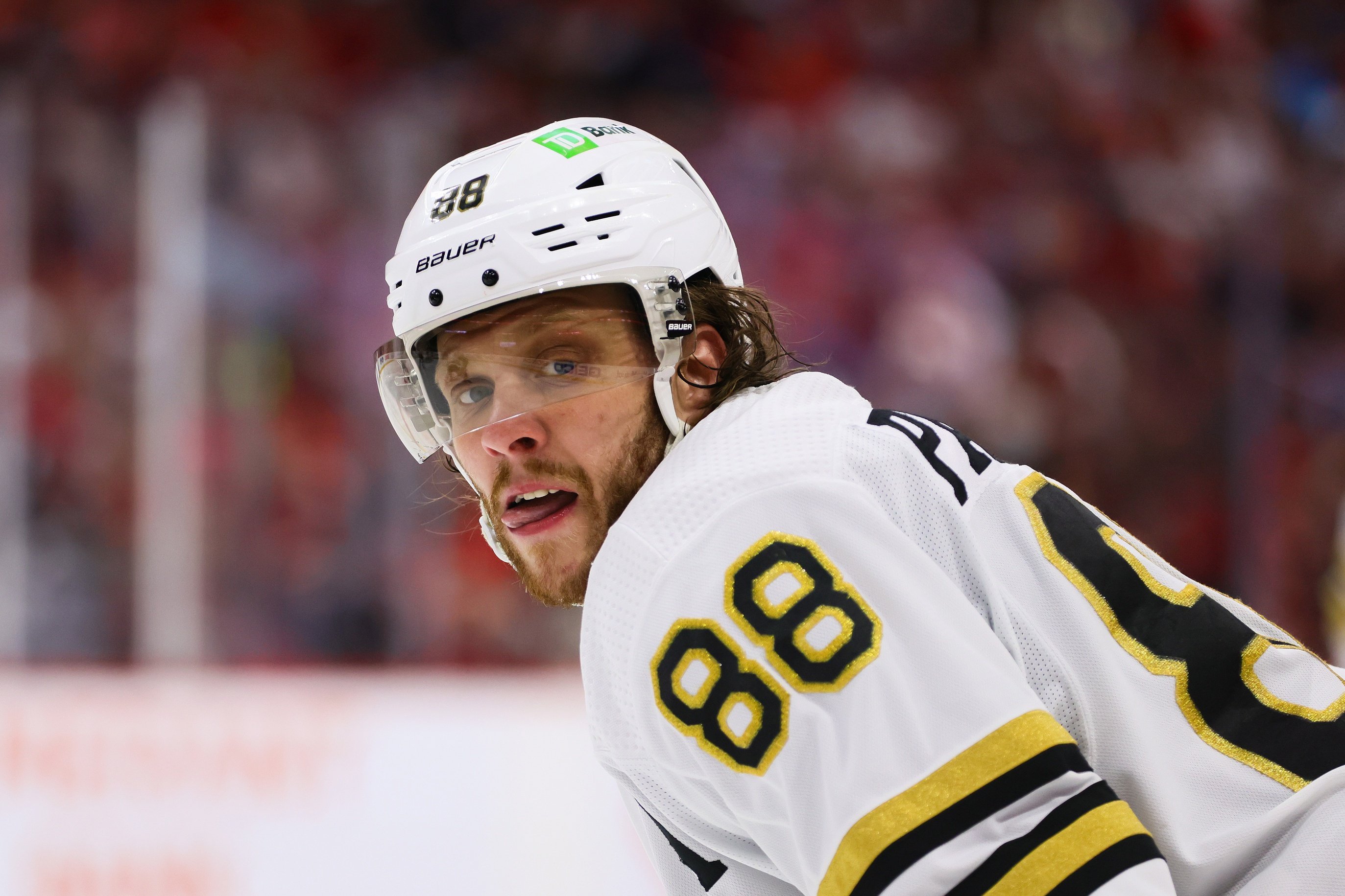 nhl picks David Pastrnak Boston Bruins nhl picks