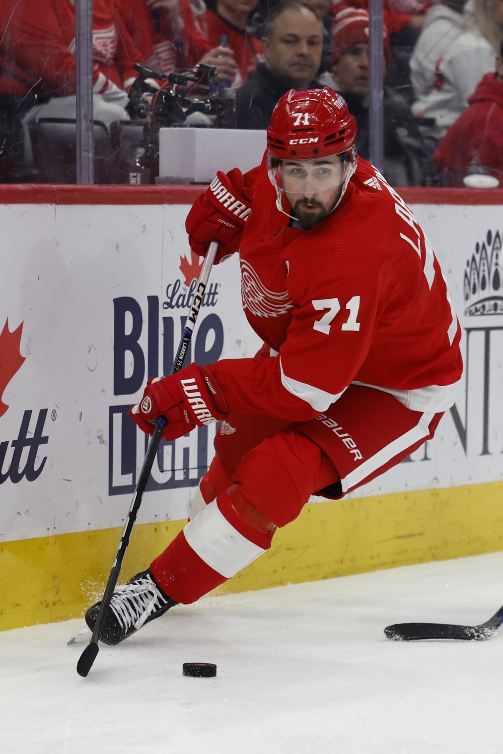 nhl picks Dylan Larkin Detroit Red Wings nhl picks predictions best bet odds