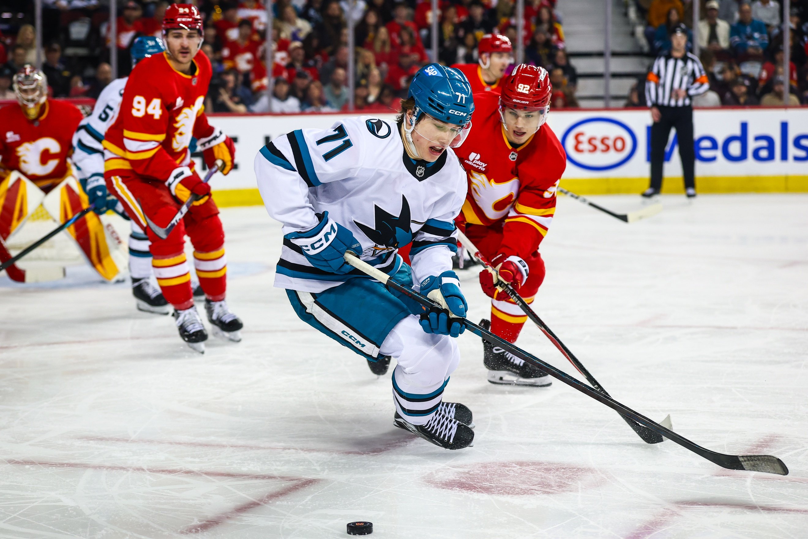 nhl picks Macklin Celebrini San Jose Sharks predictions best bet odds