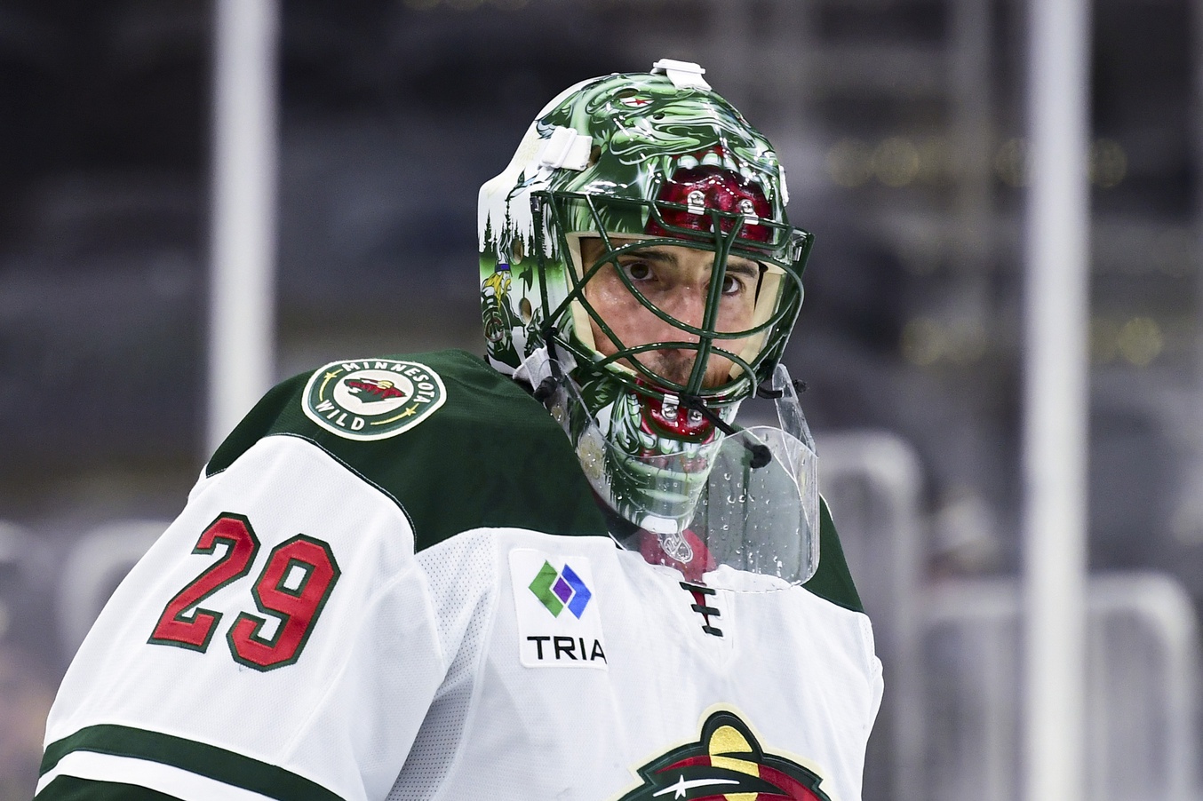 nhl picks Marc-Andre Fleury Minnesota Wild nhl picks