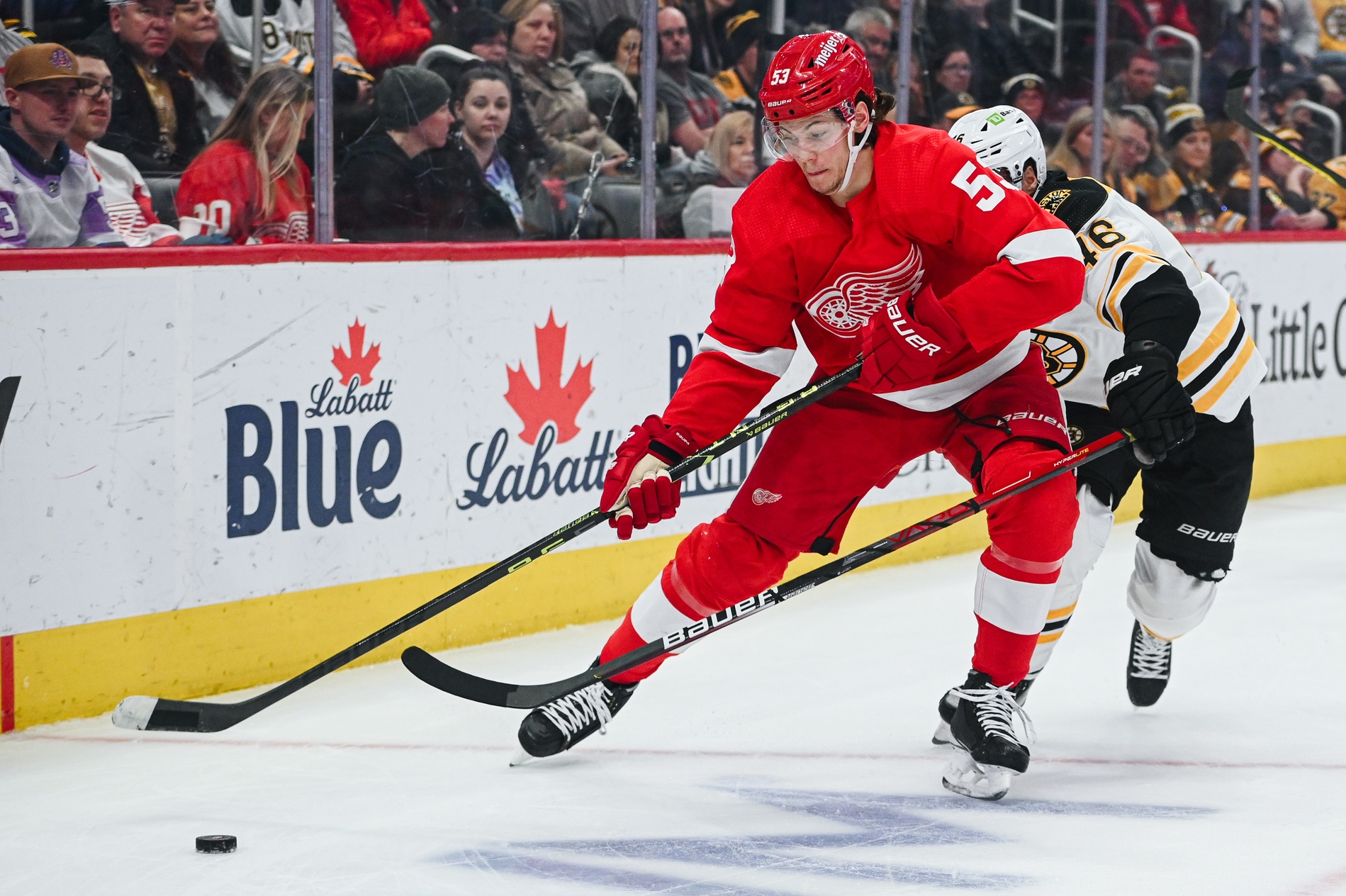 nhl picks Moritz Seider Detroit Red Wings predictions best bet odds