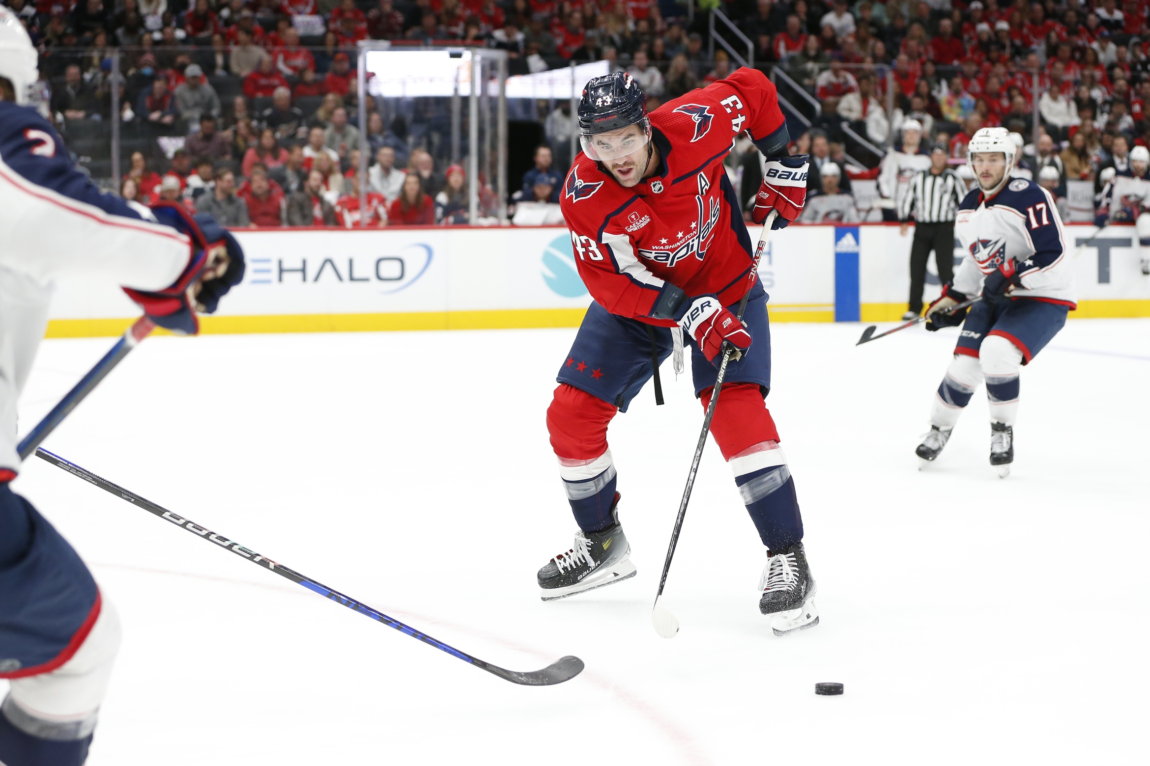 nhl picks Tom Wilson Washington Capitals nhl picks predictions best bet odds