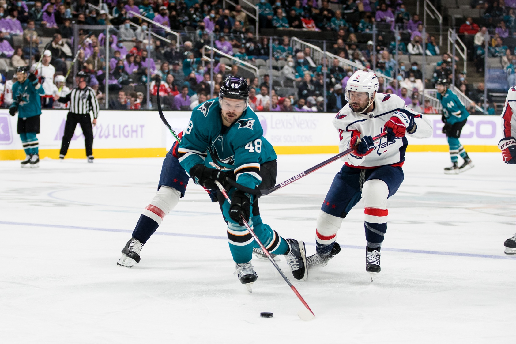 nhl picks Tomas Hertl San Jose Sharks predictions best bet odds