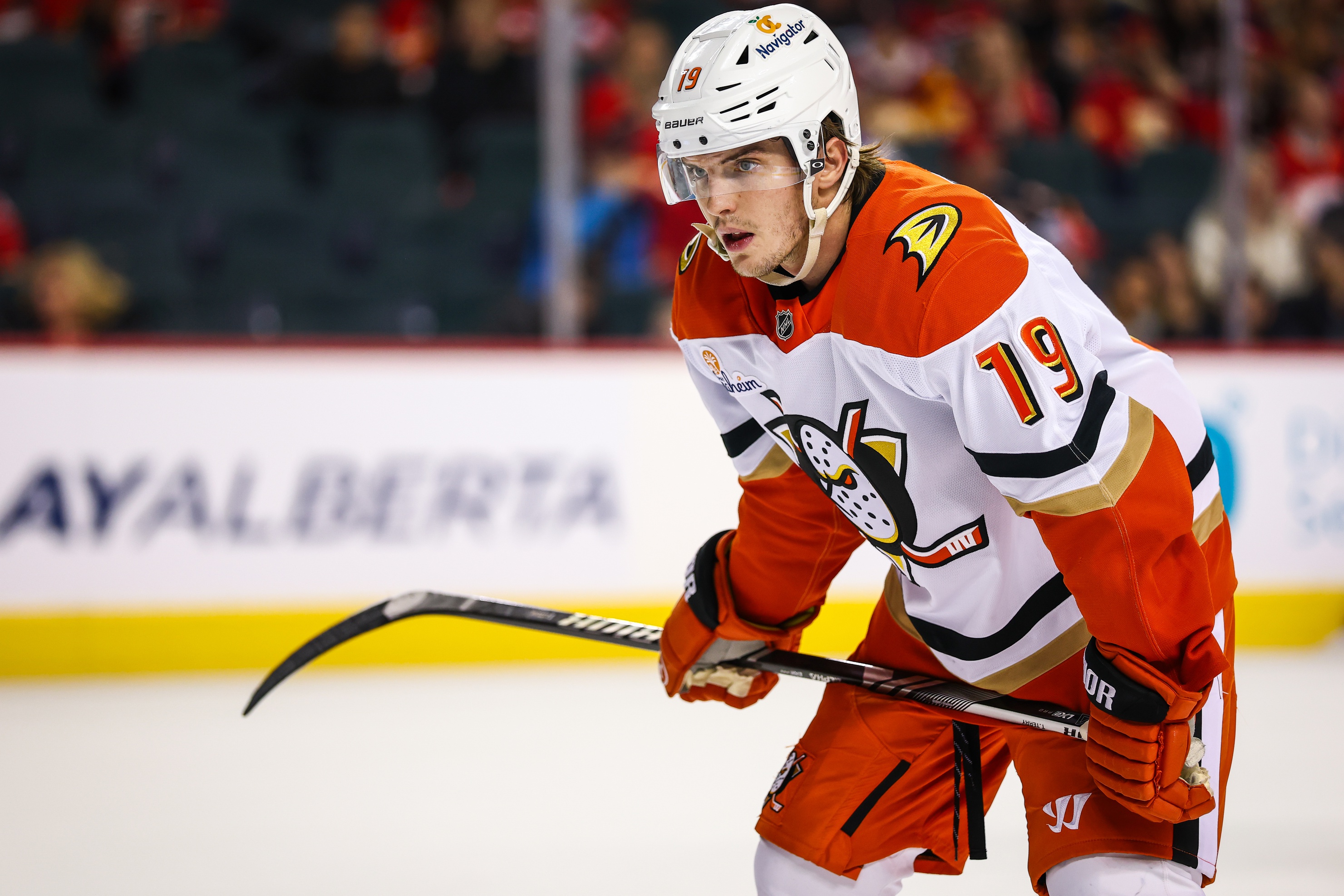 nhl picks Troy Terry Anaheim Ducks nhl picks