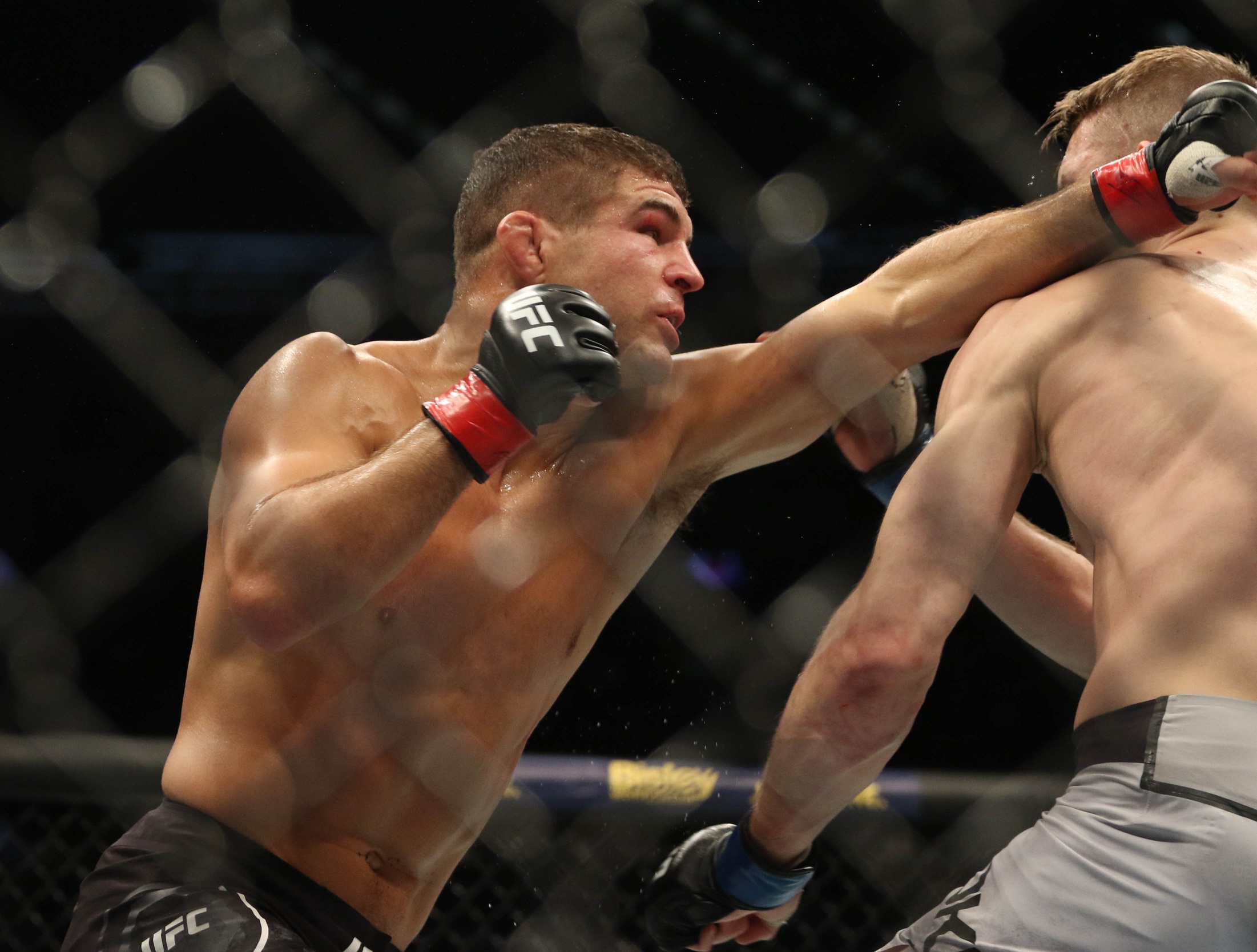 ufc picks Al Iaquinta predictions best bet odds
