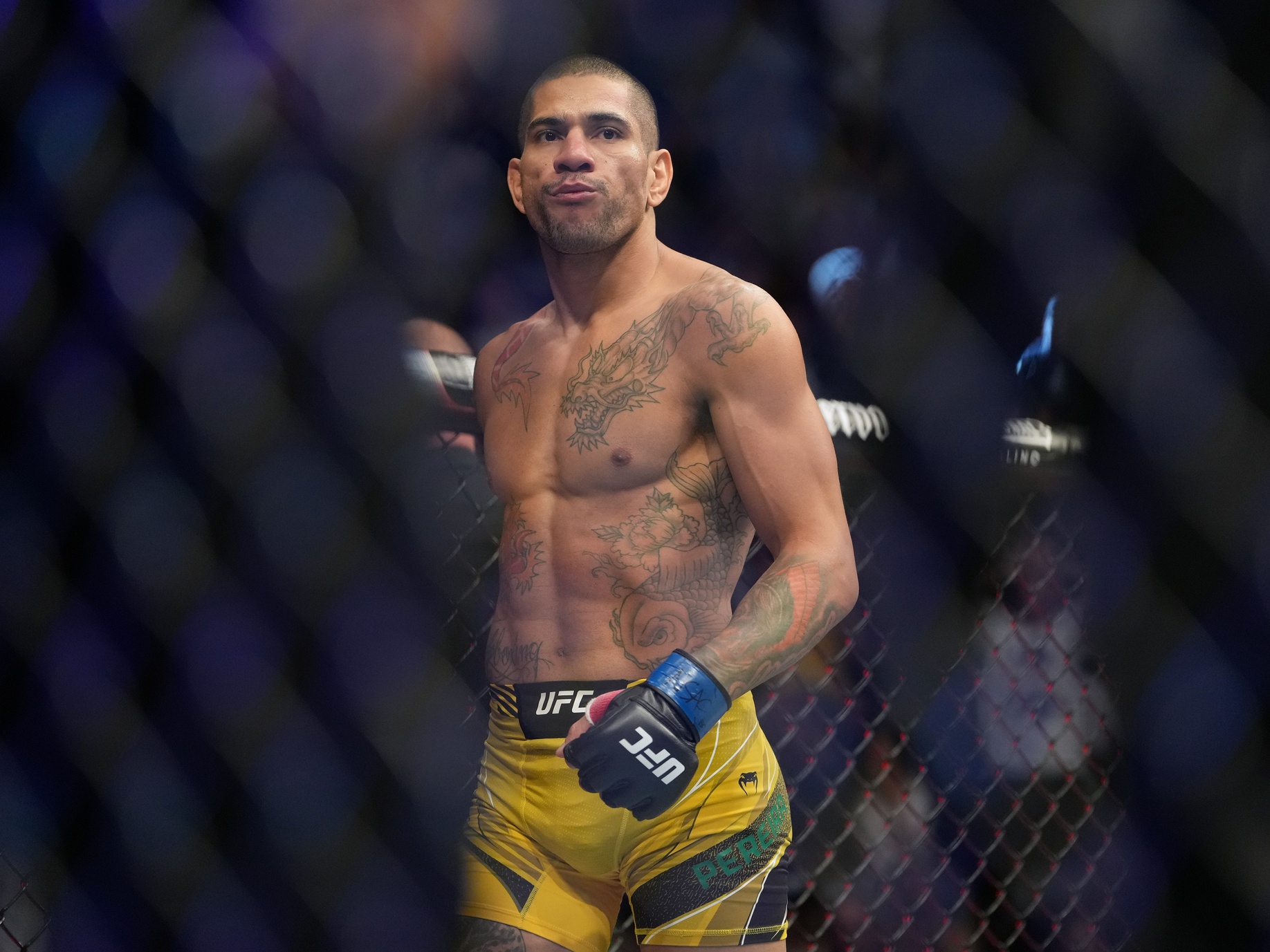 ufc picks Alex Pereira predictions best bet odds