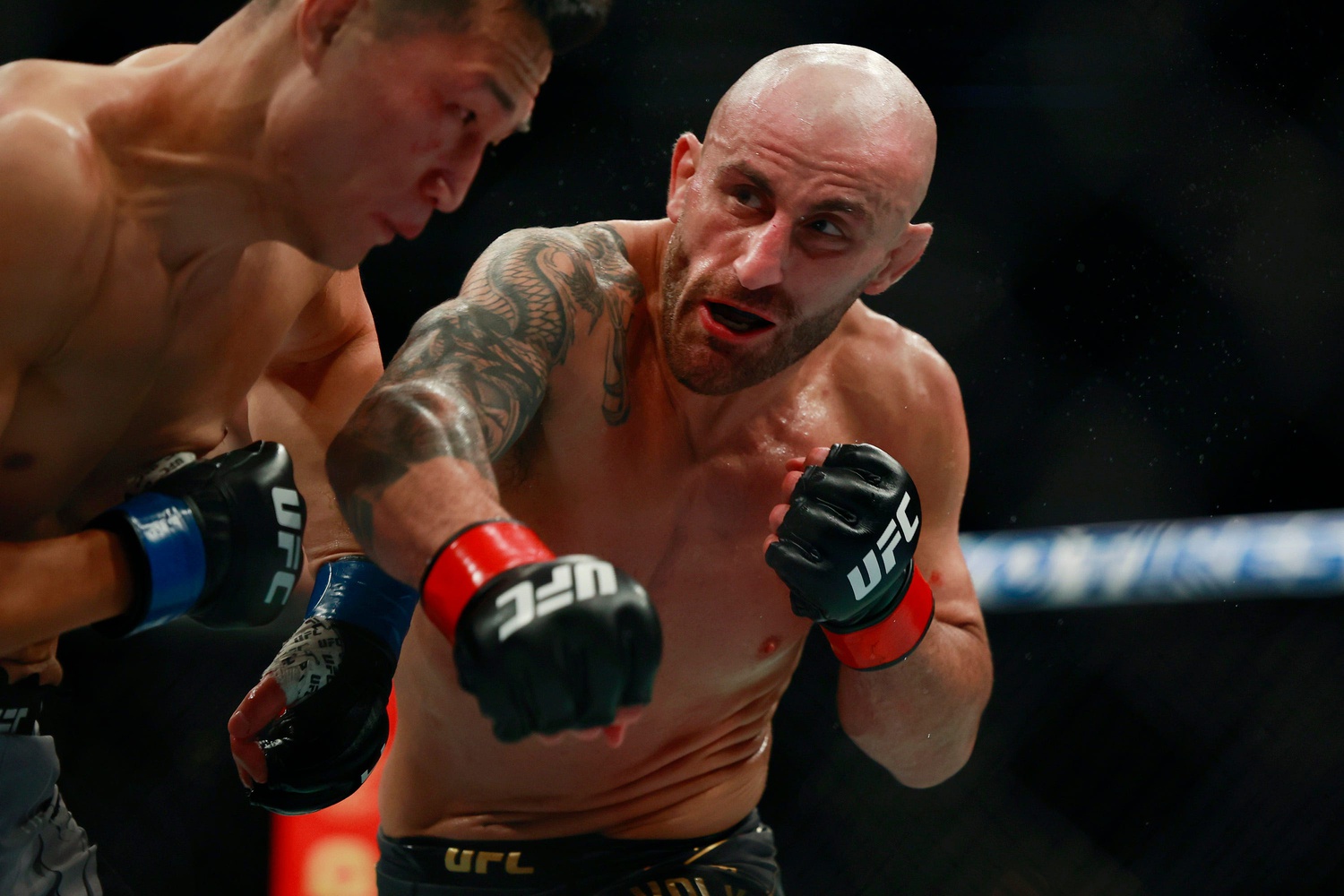 ufc picks Alexander Volkanovski predictions best bet odds