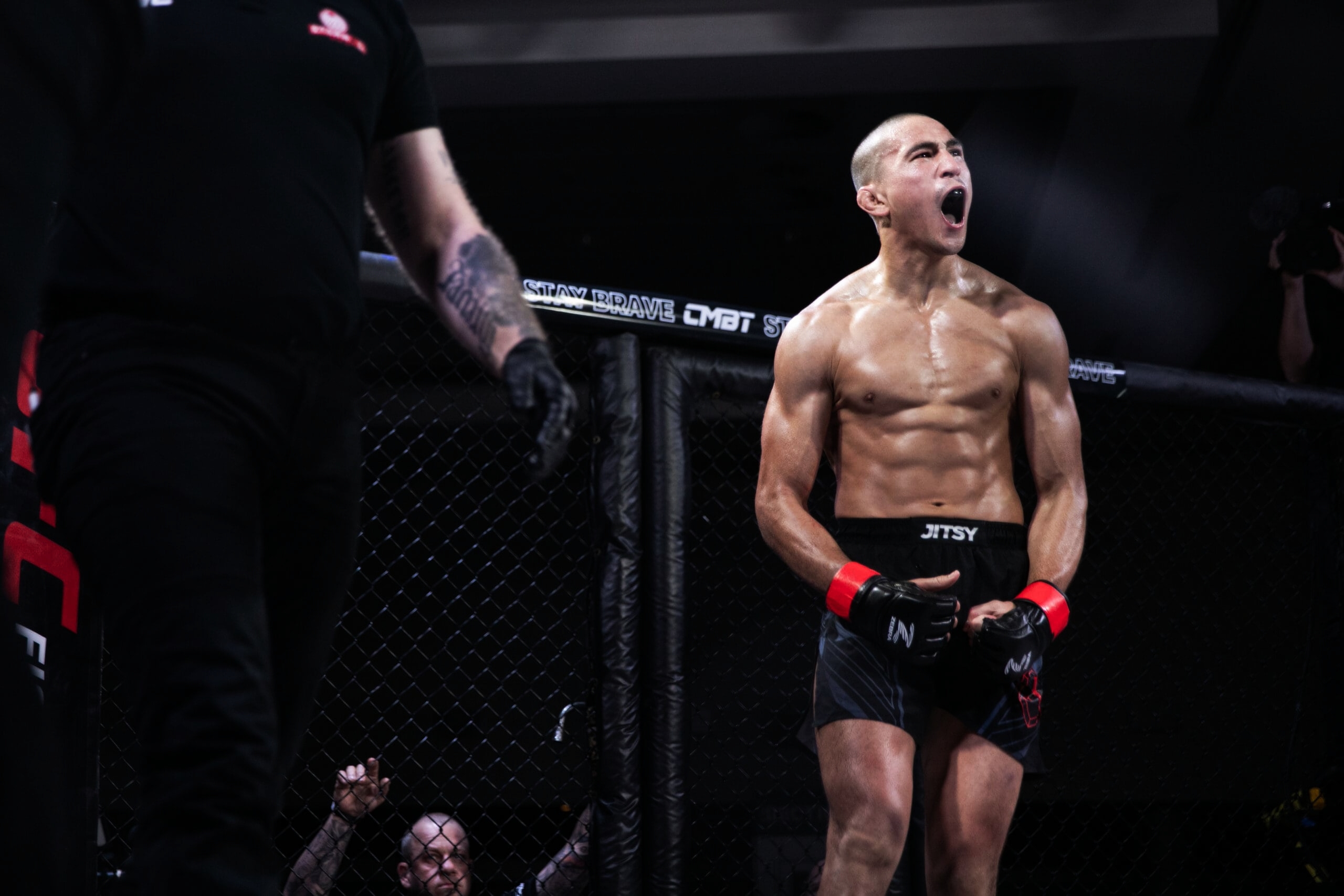 ufc picks Dom Mar Fan predictions best bet odds