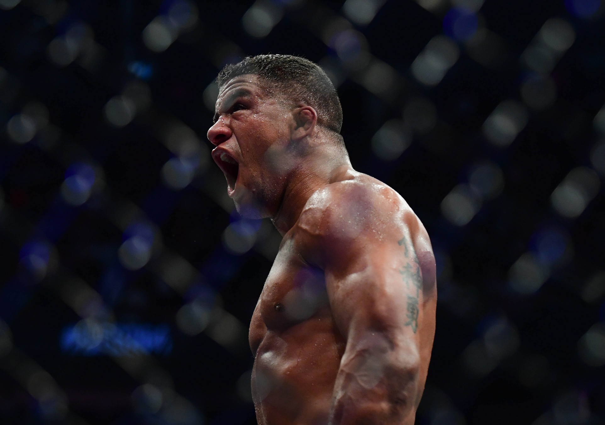 ufc picks Gilbert Burns predictions best bet odds