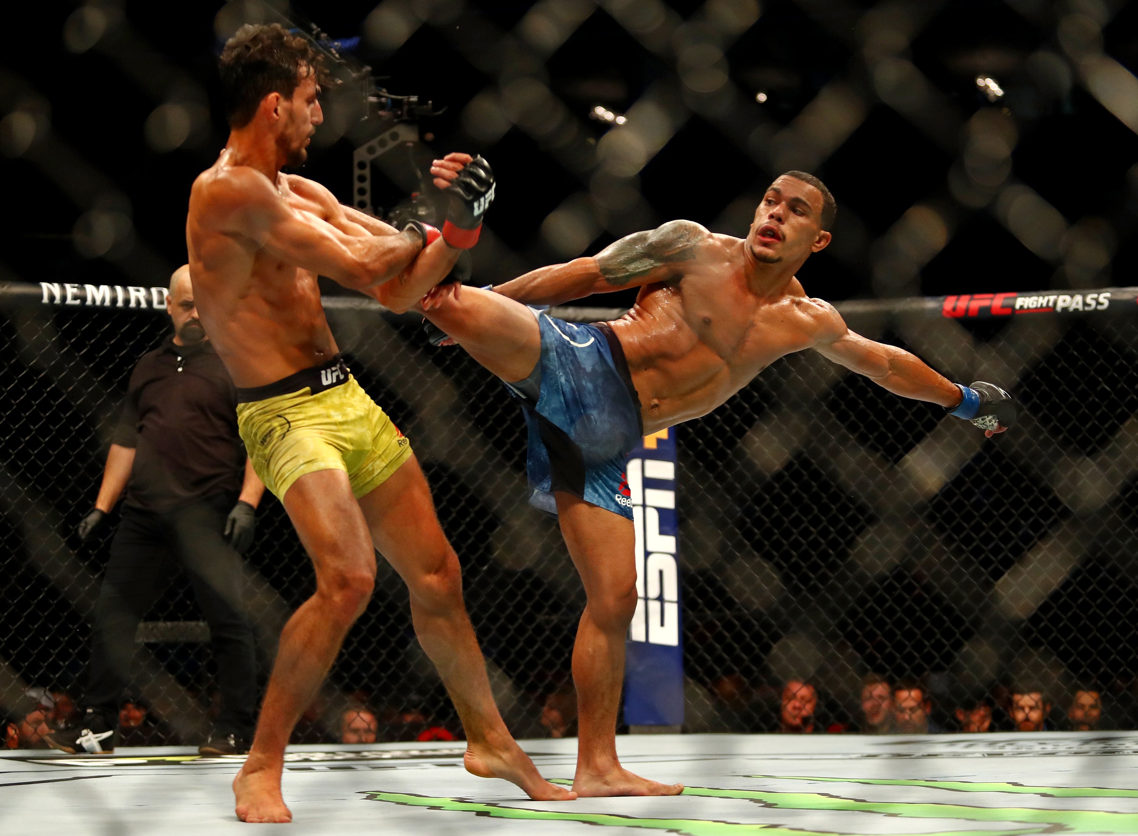 ufc picks Journey Newson predictions best bet odds