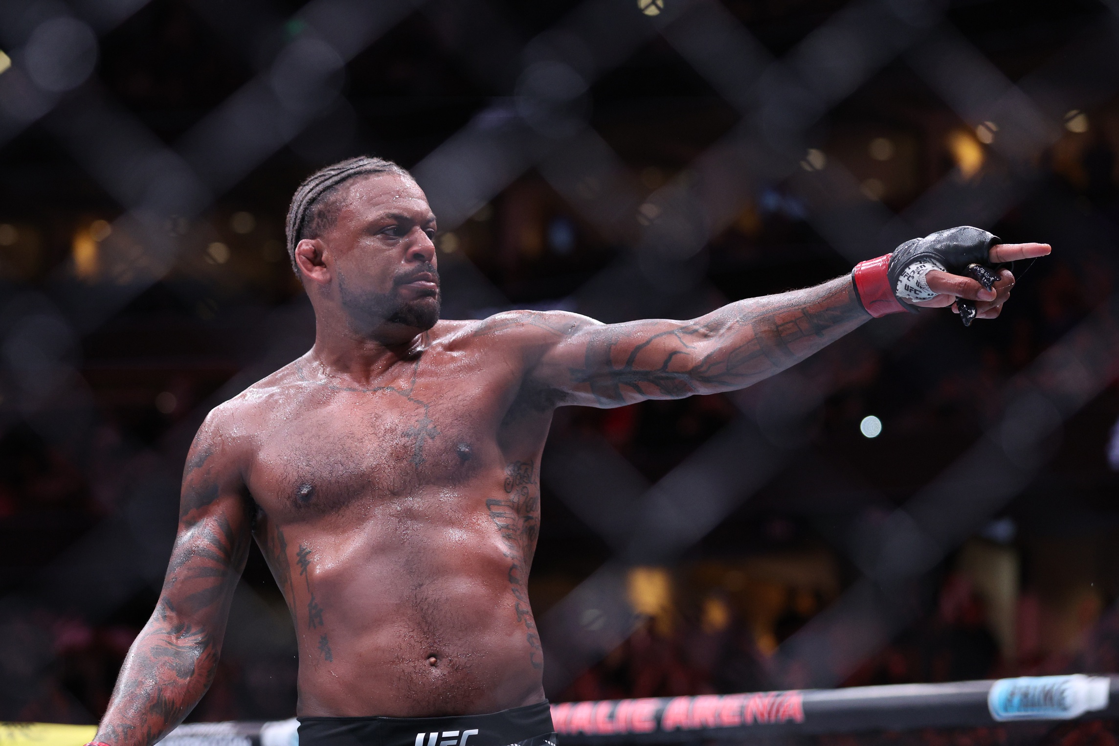ufc picks Michael Johnson ufc predictions best bet odds
