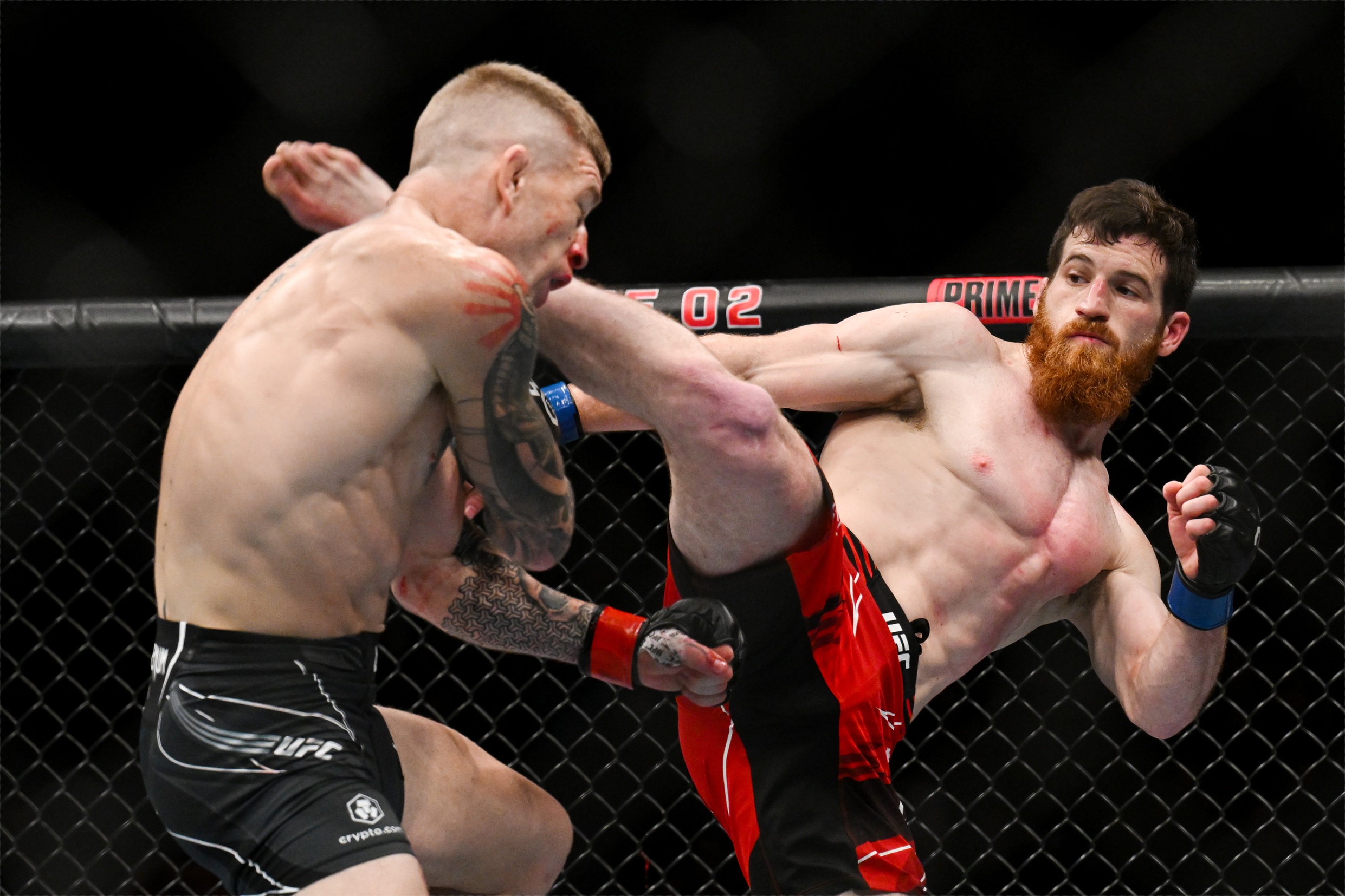 ufc picks Yanal Ashmouz ufc predictions best bet odds