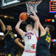 Arizona Wildcats basketball predictions Motiejus Krivas