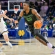 college basketball picks Jayden Williams Dartmouth Big Green predictions best bet odds