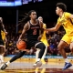 college basketball picks Jeremiah Johnson Campbell Fighting Camels predictions best bet odds