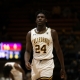college basketball picks Sam Alajiki California Golden Bears predictions best bet odds